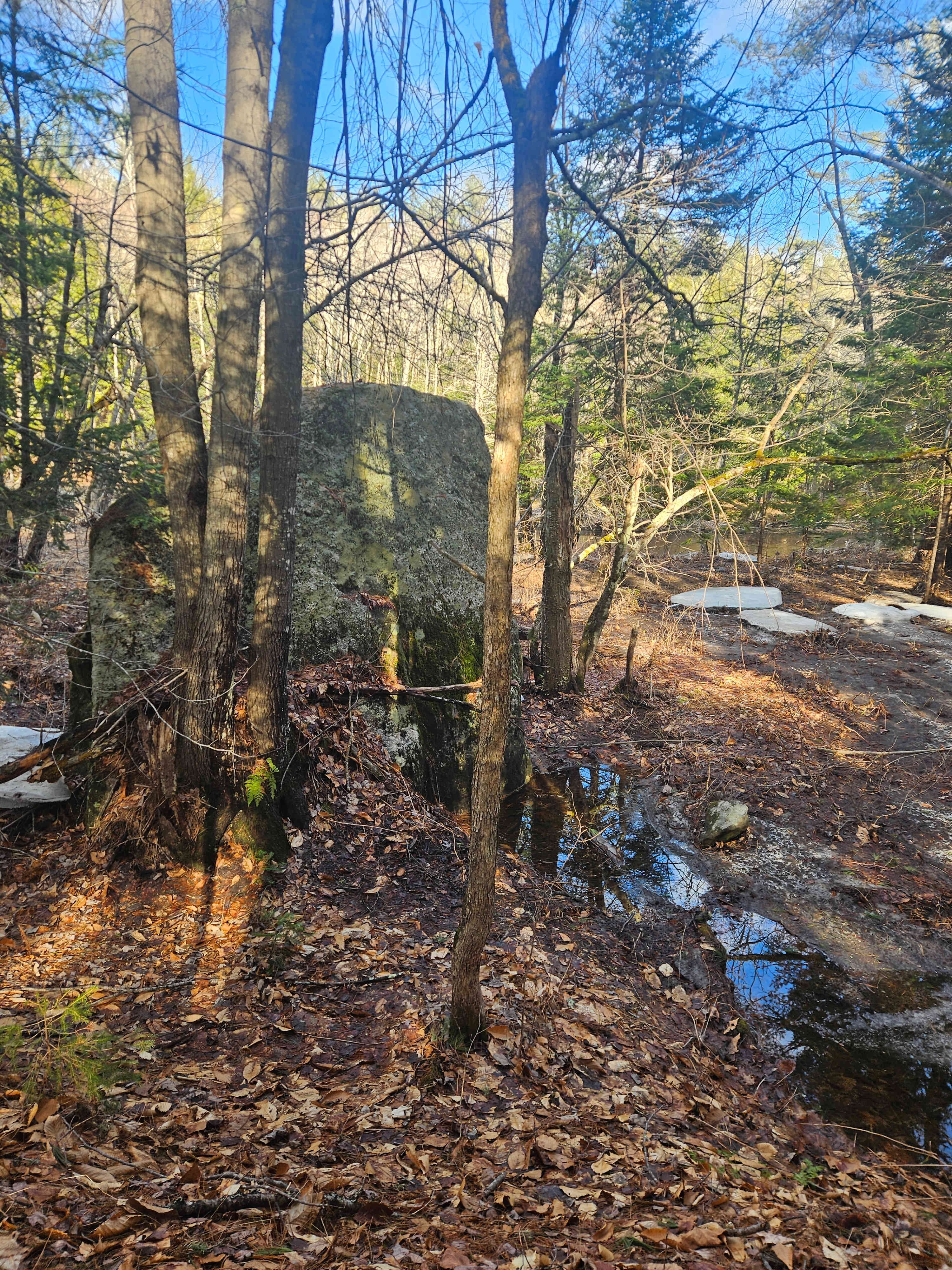 Neziscot River Off-Grid Cabins