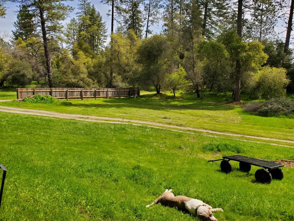 Site 1 is closest to the fence. 
