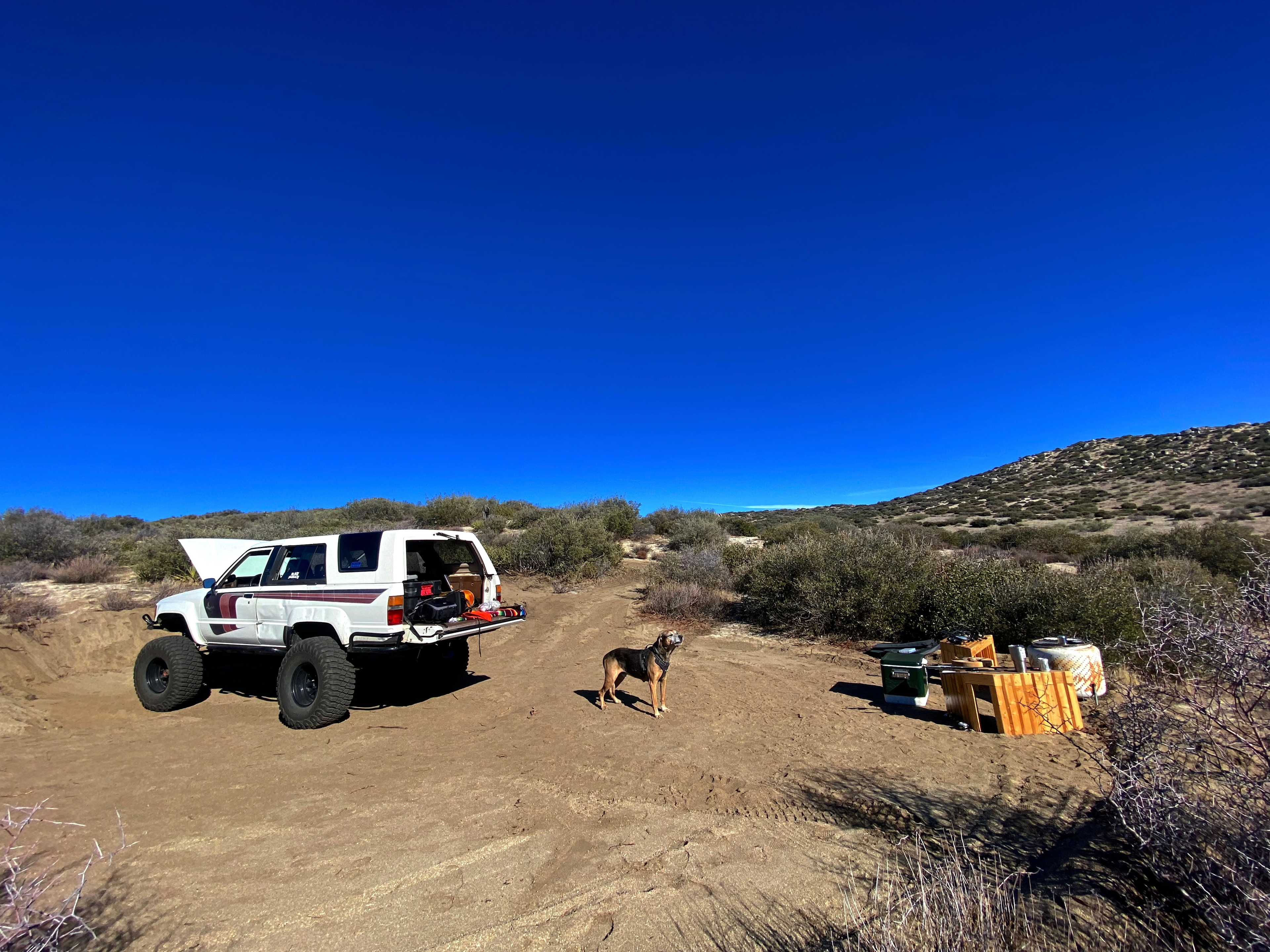 Pool Ranch