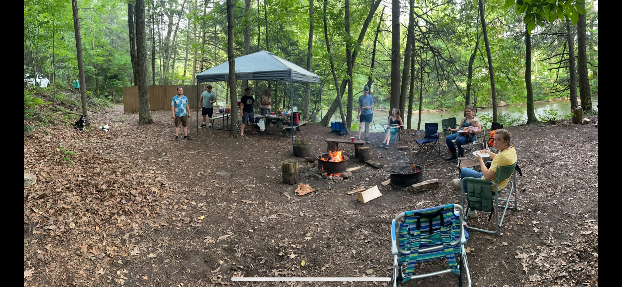 Picture of the site