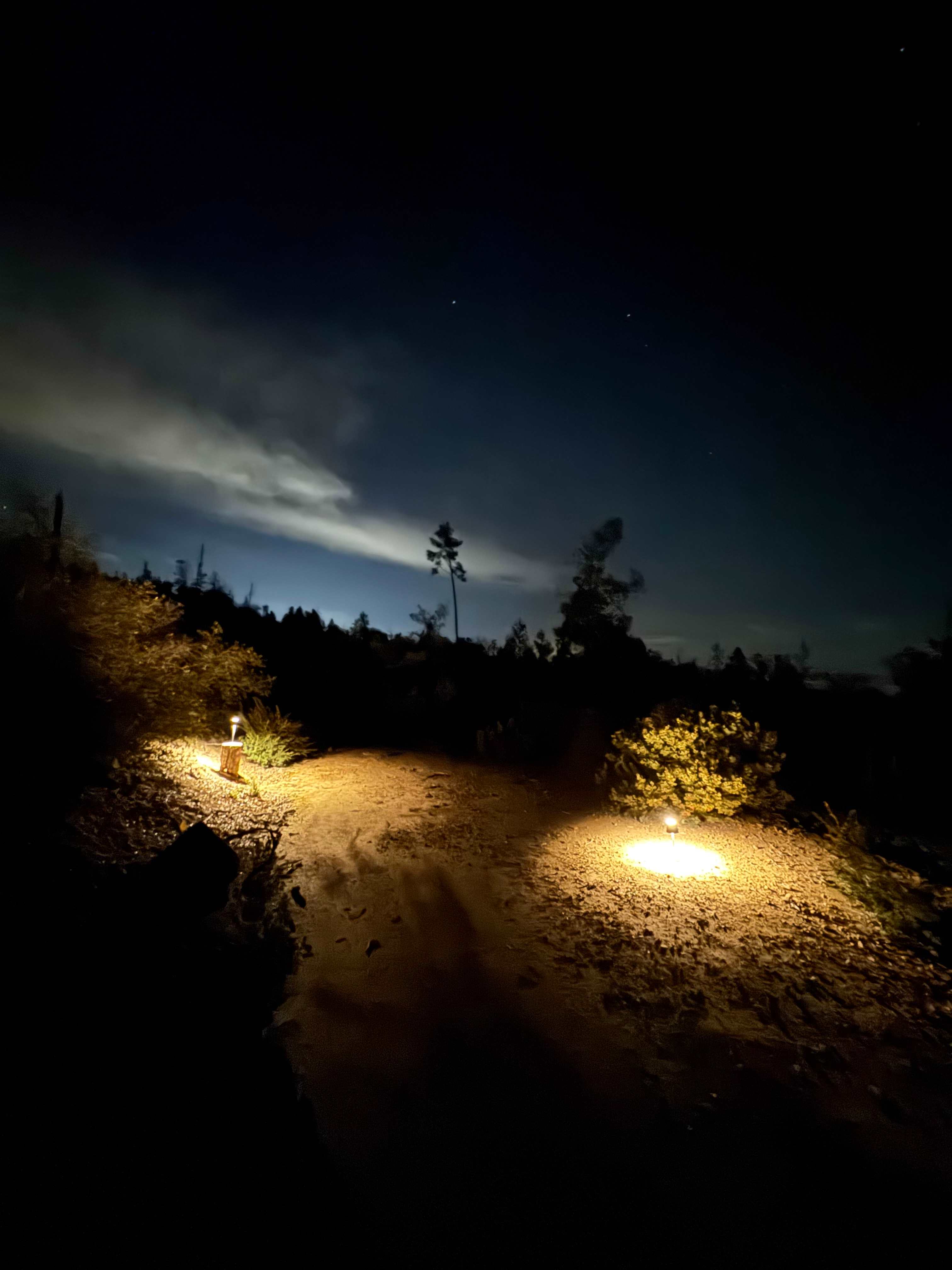 Camp Rewilding