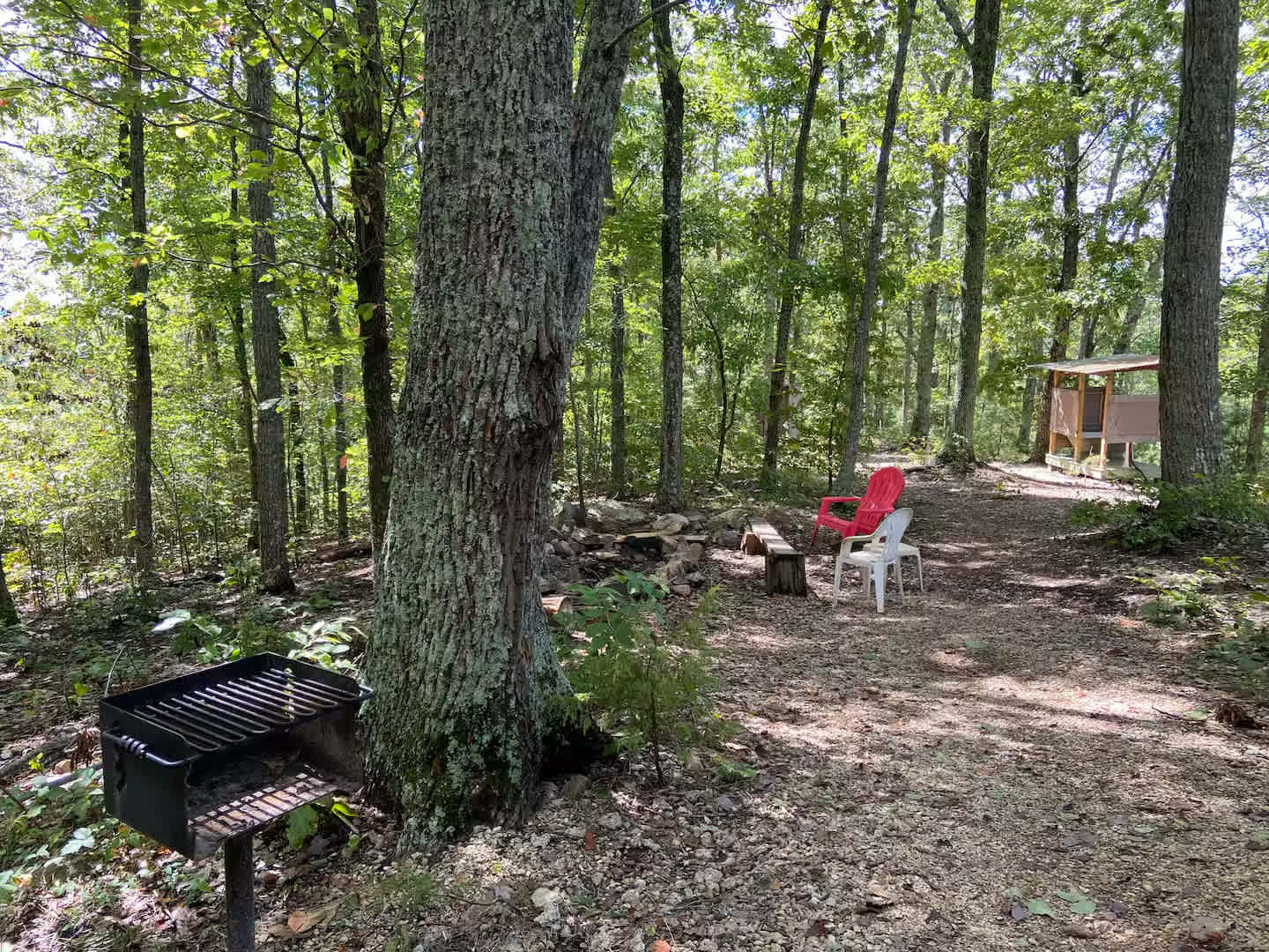 Picture of the site