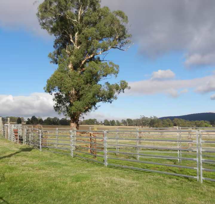 Fernbrook Farm