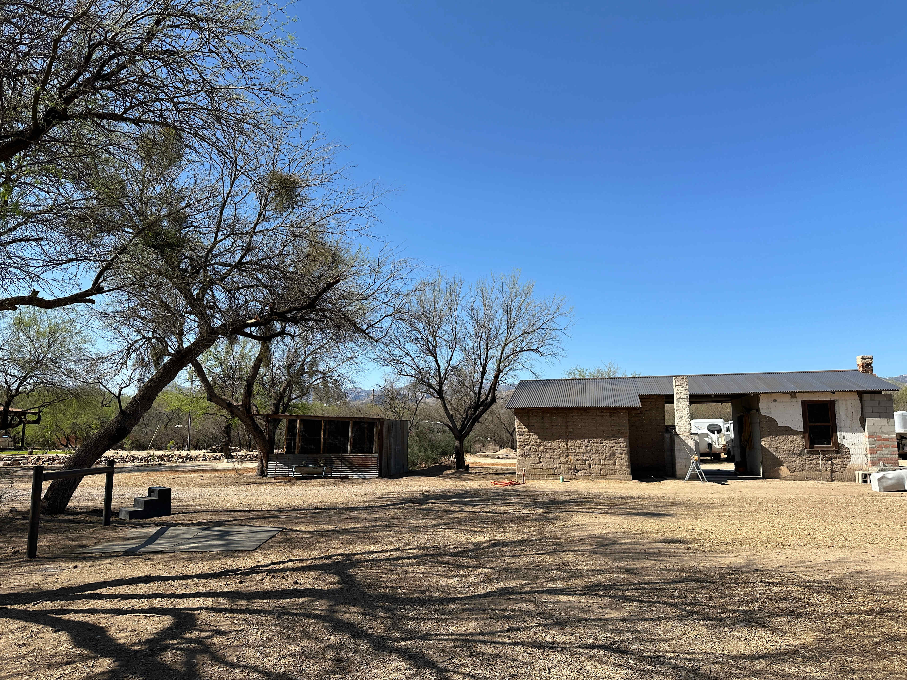 Horse Haven In The Mesquites