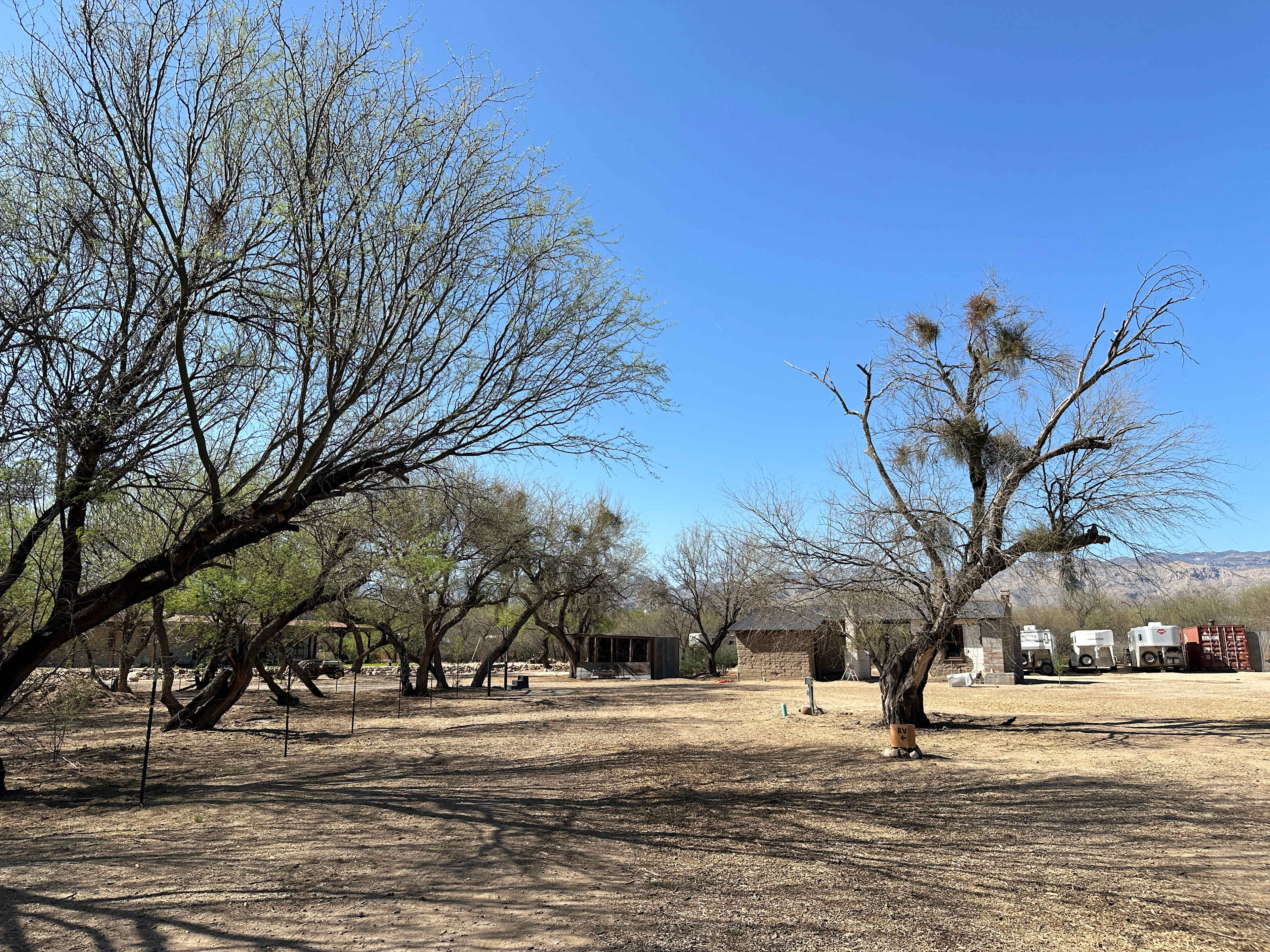 Horse Haven In The Mesquites