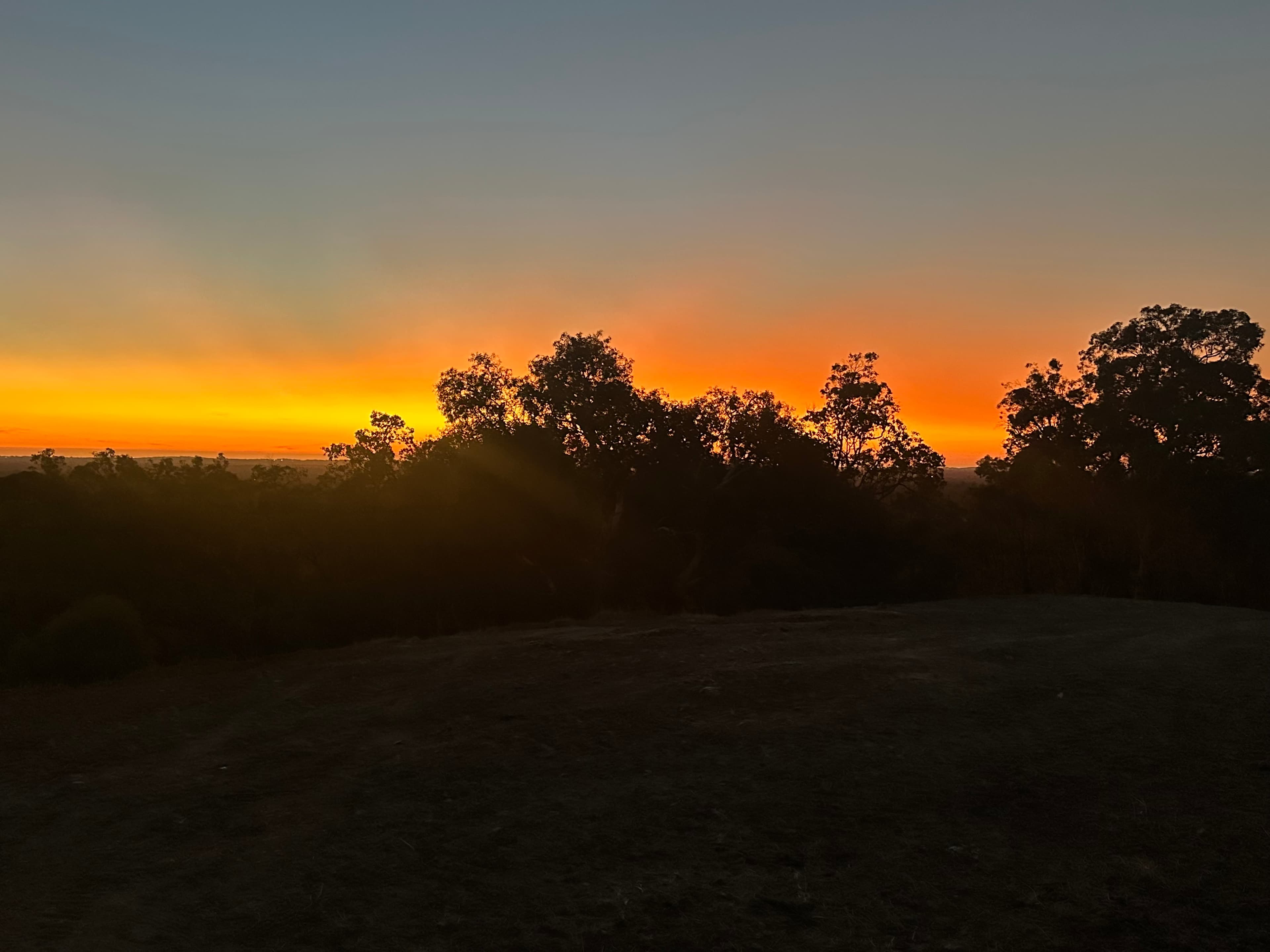 Yarrabah High Country- Jarrahdale