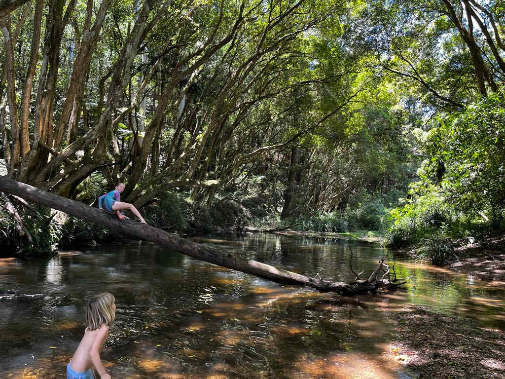 Kalang Farm Wildlife Sanctuary