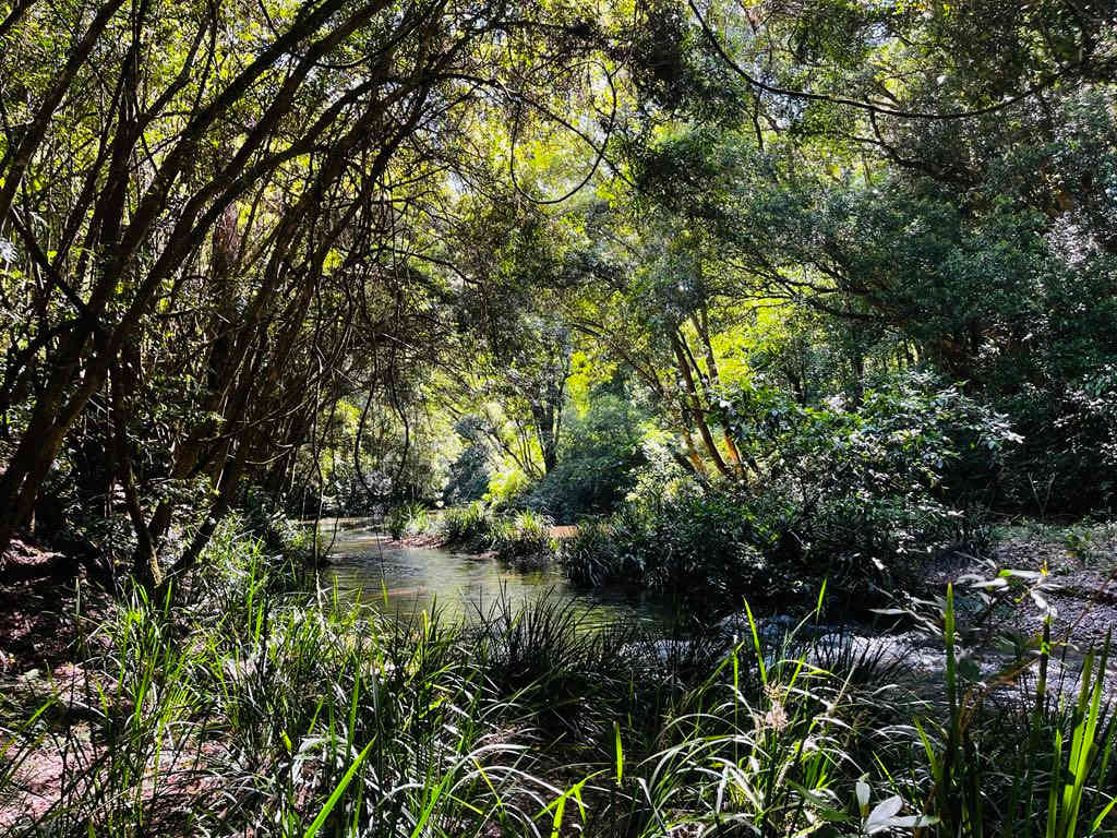 Kalang Farm Wildlife Sanctuary