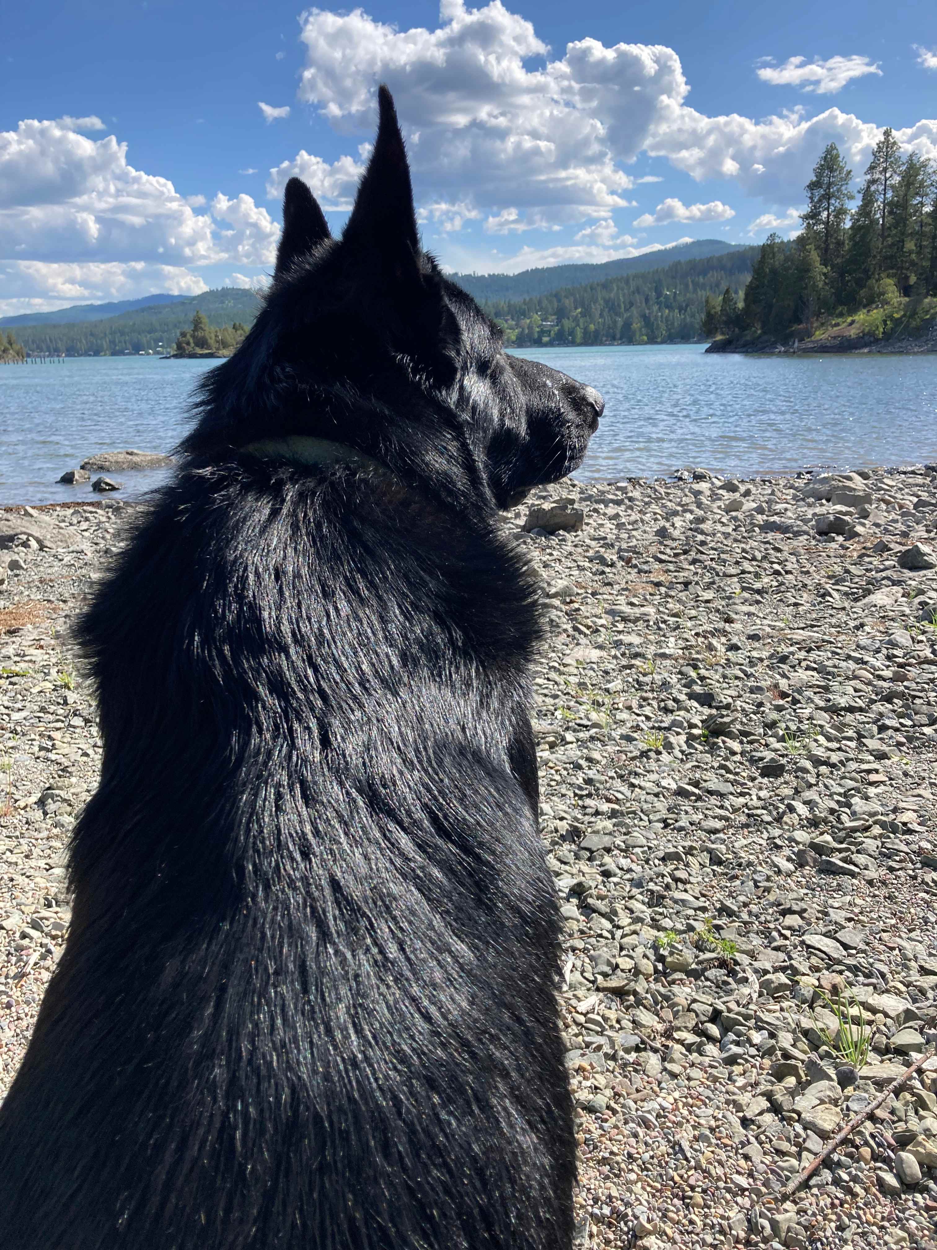 Woody's On Flathead Lake
