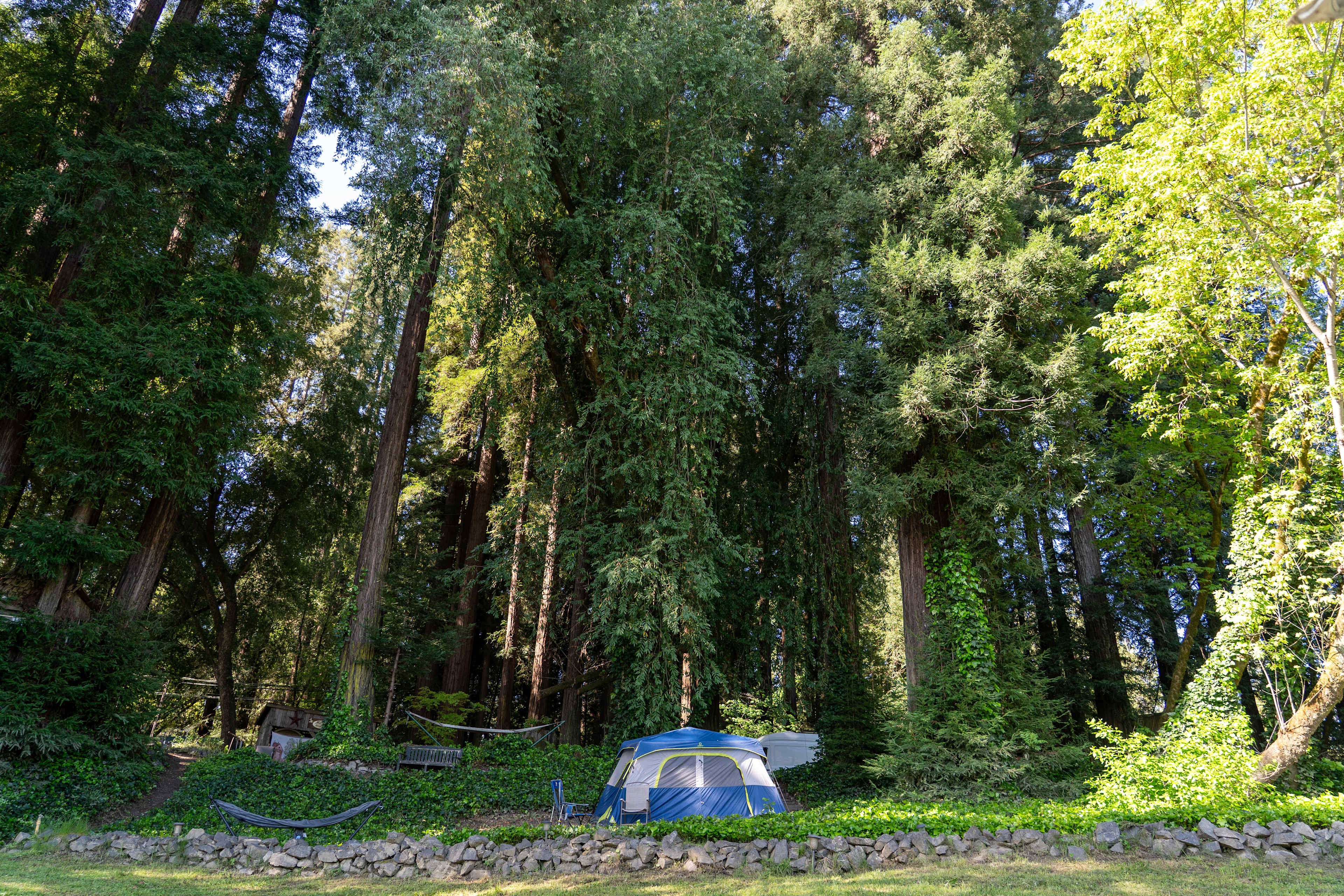 Campsite on the middle level