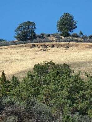 Rural Hideaway On Hoddinott Hill