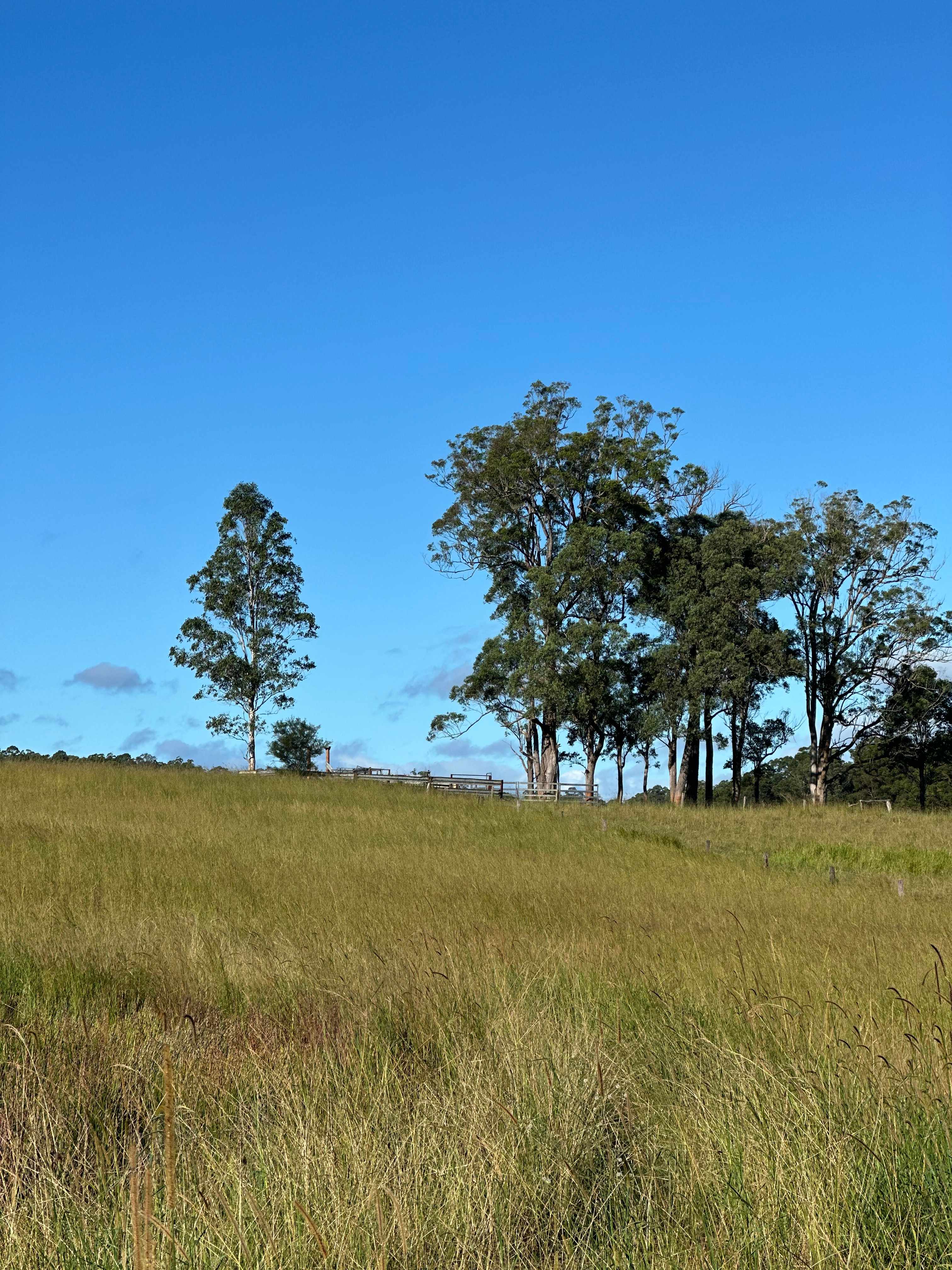 The Plains Ranch and Farm Stay