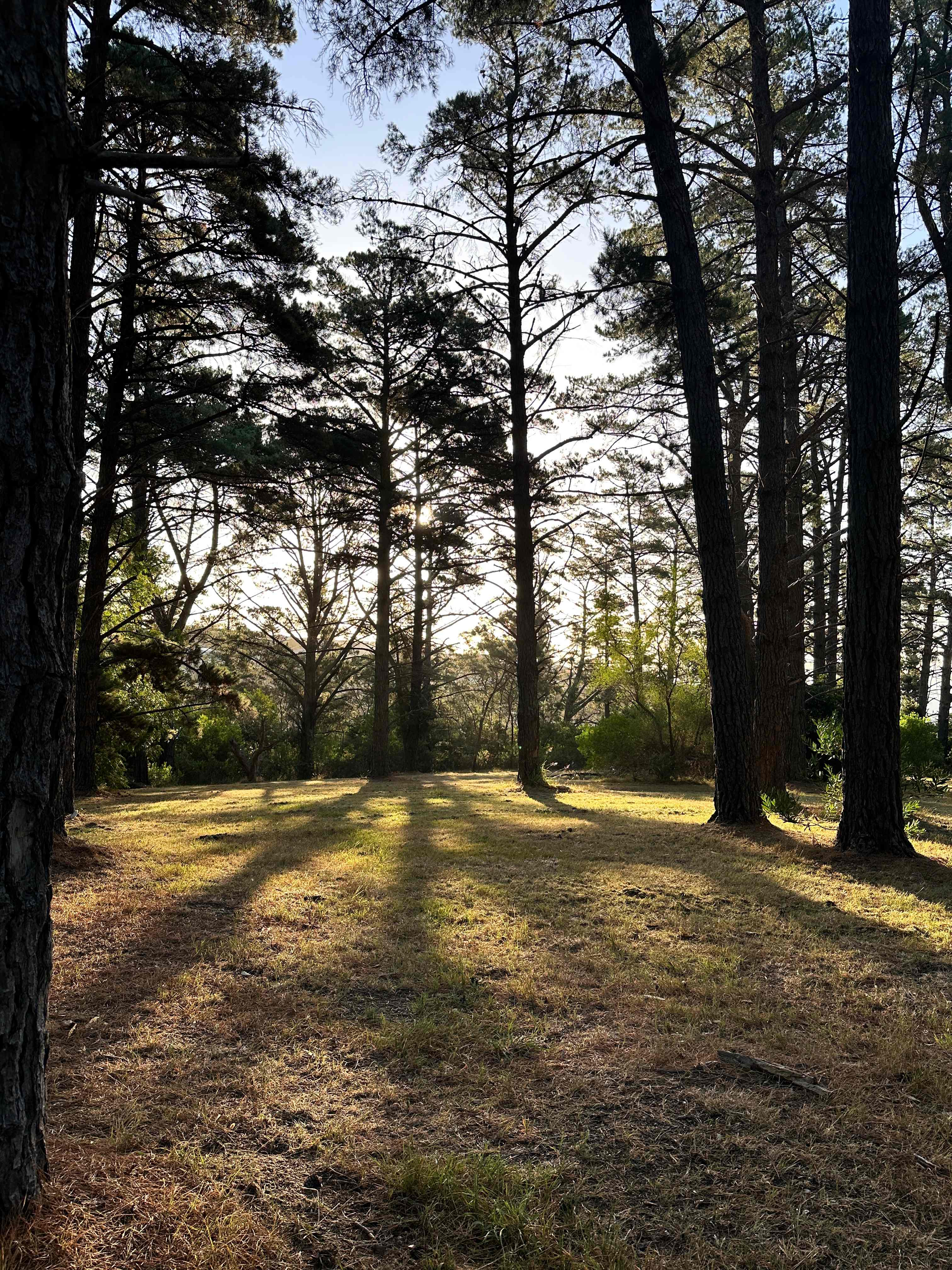 Bay Park Adventure Centre