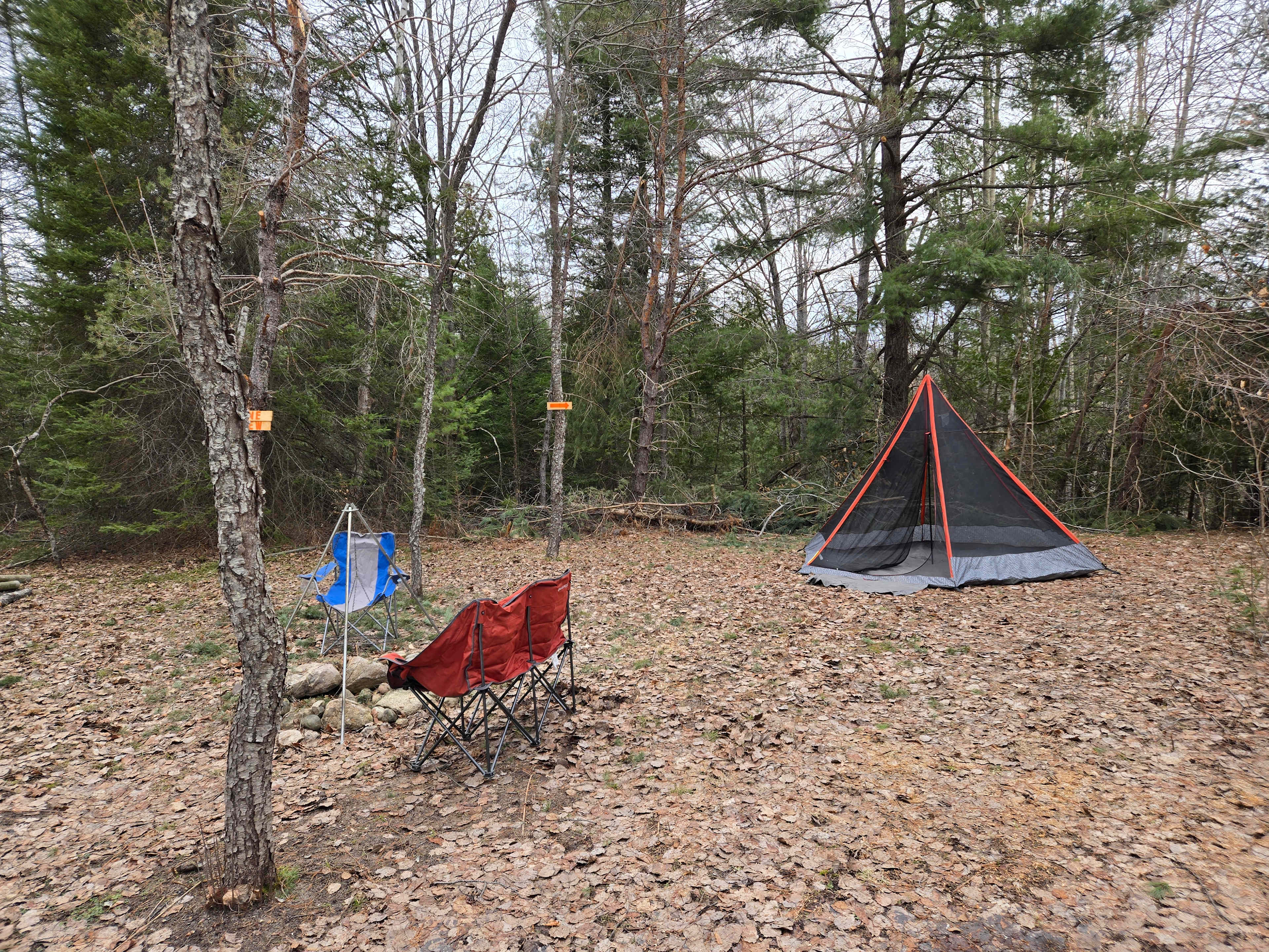 Rooster Ridge Campground