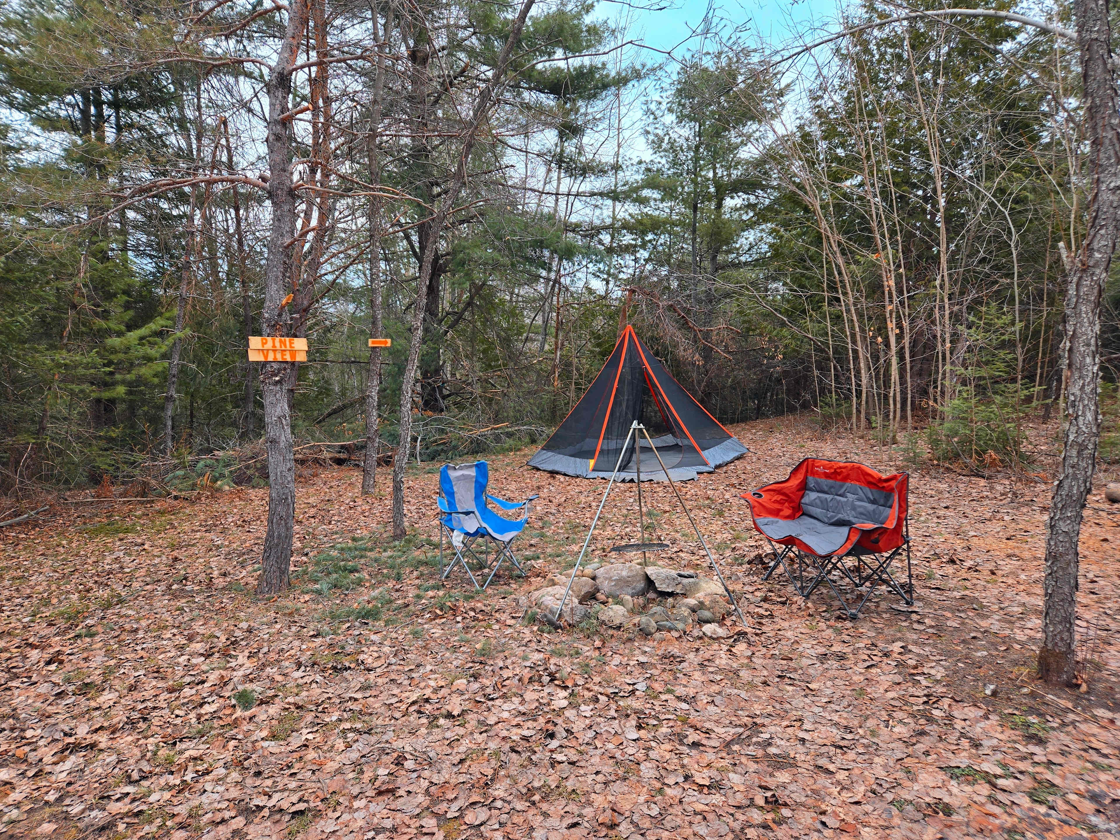 Picture of the site