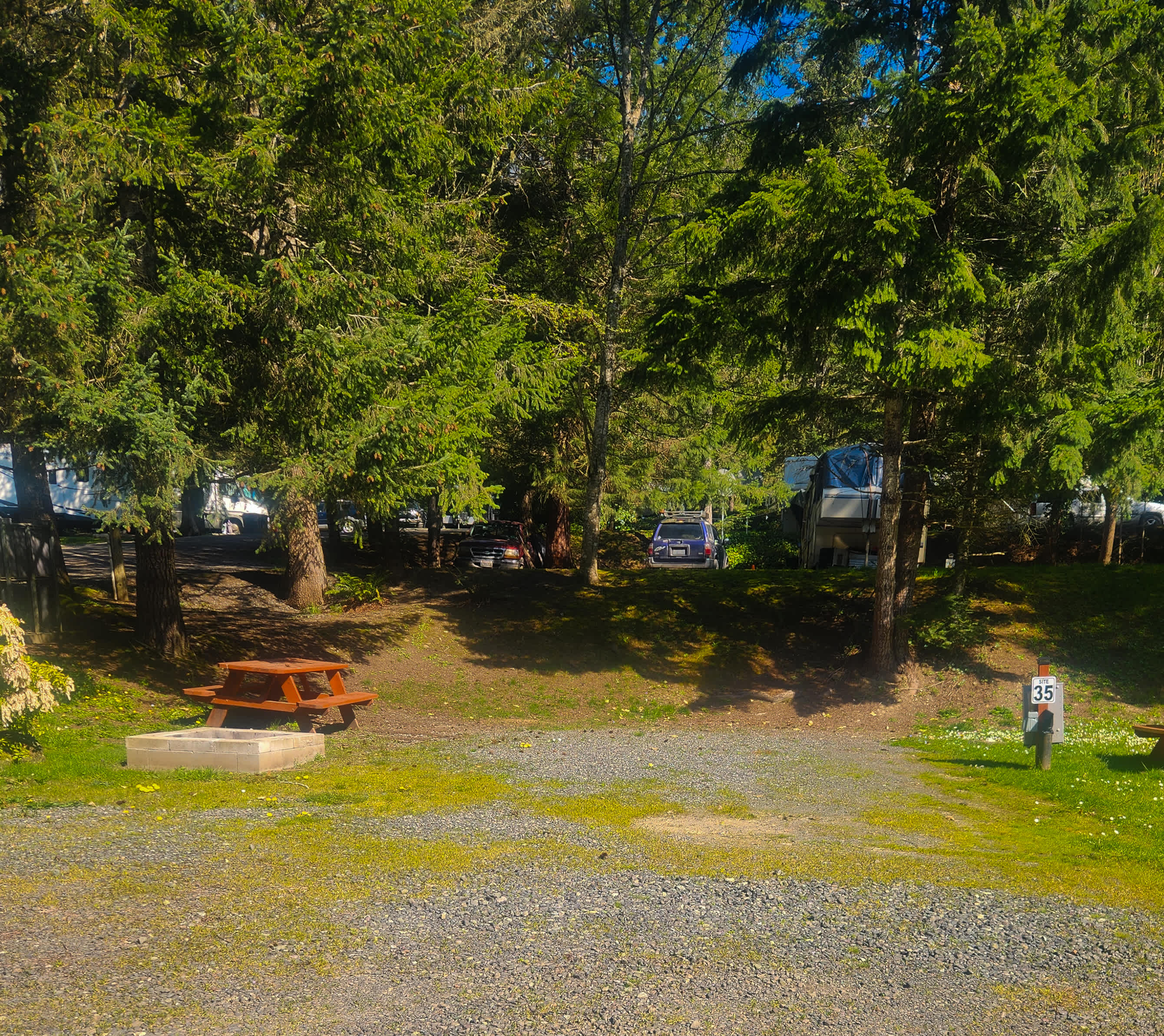 Picture of the site