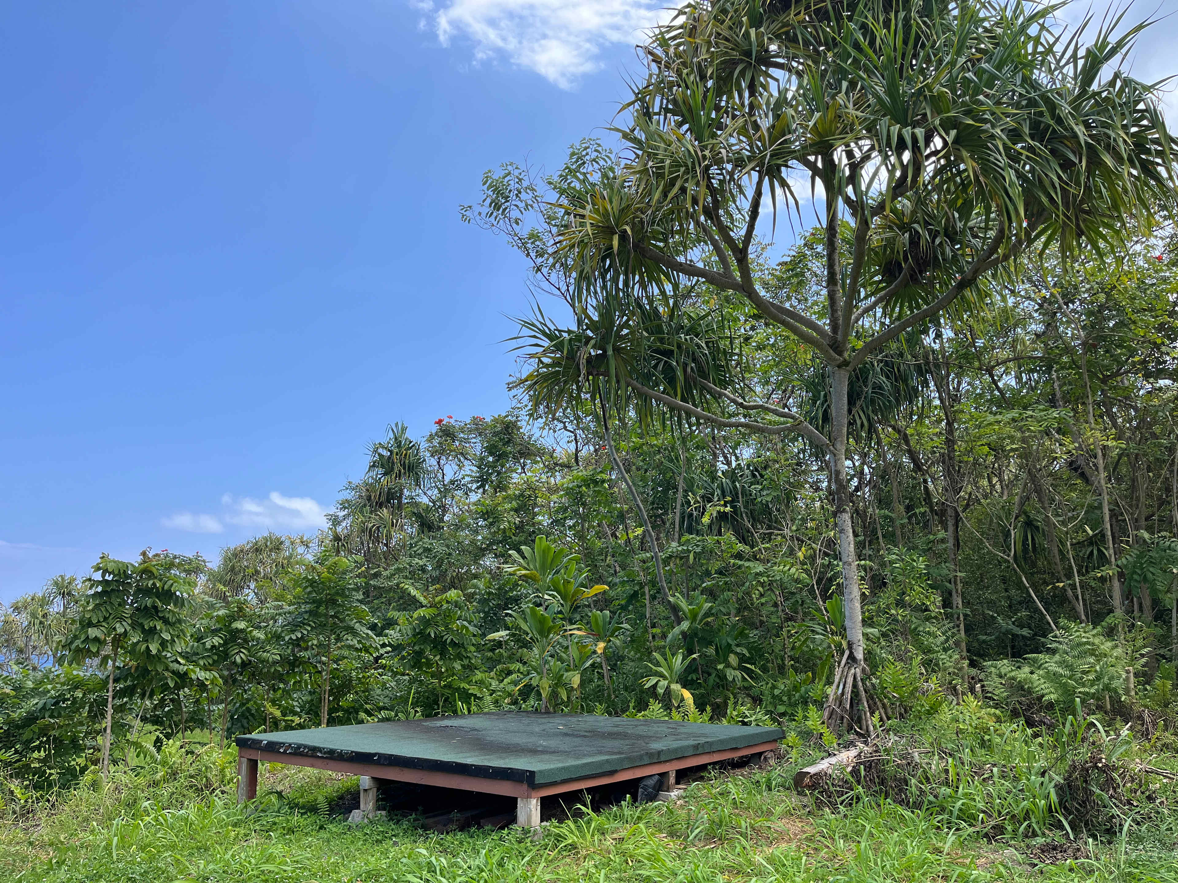 Untouched Hawaiian Land