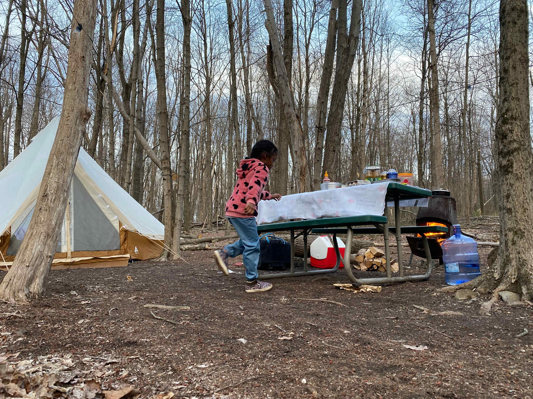 Picture of the site