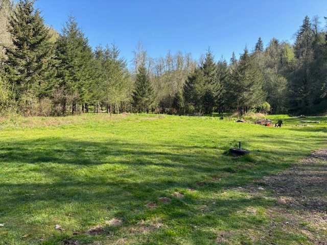 Lower large yard. More privacy when tucked back in against tree line