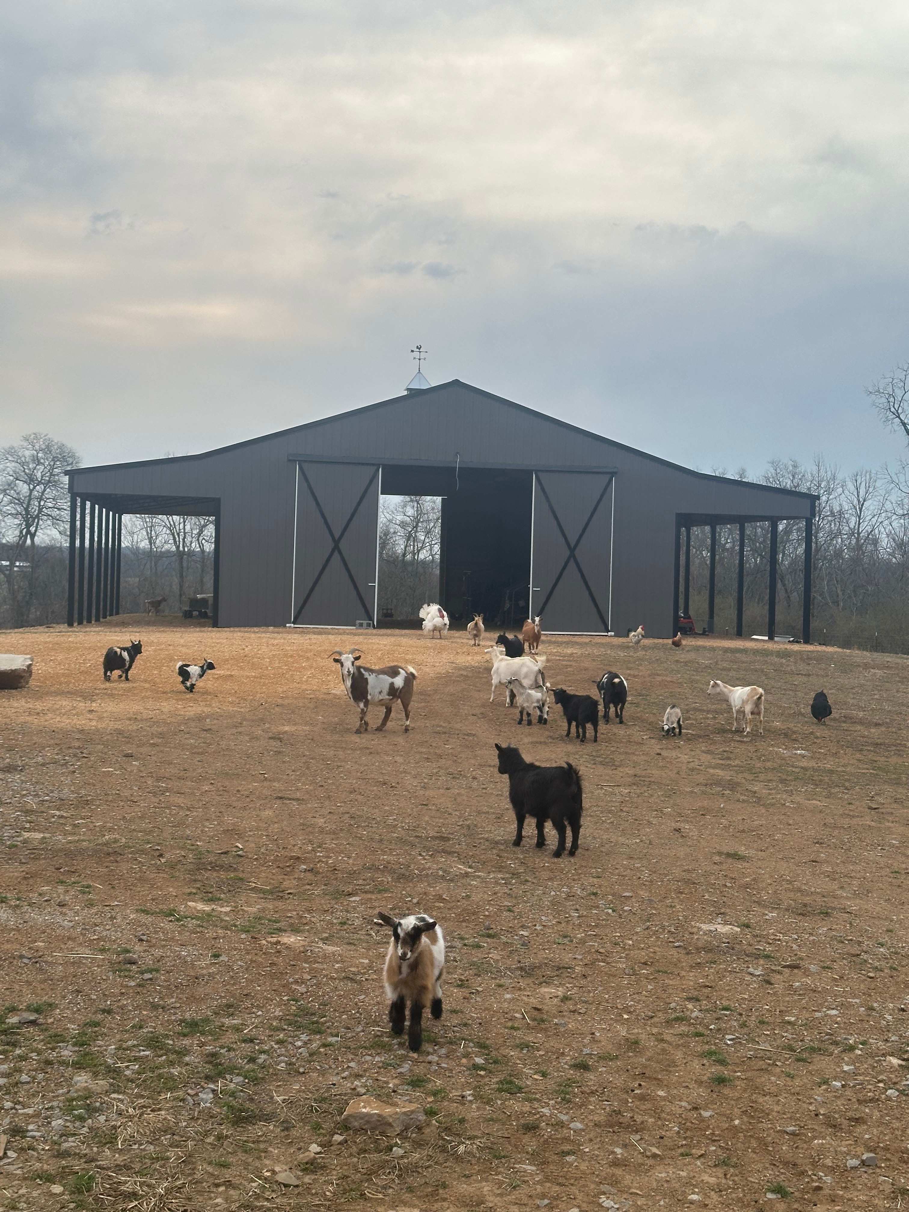 Hostetler Homestead