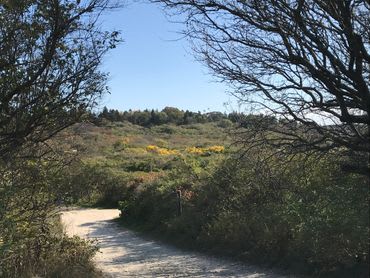Hermit Island Campground Office