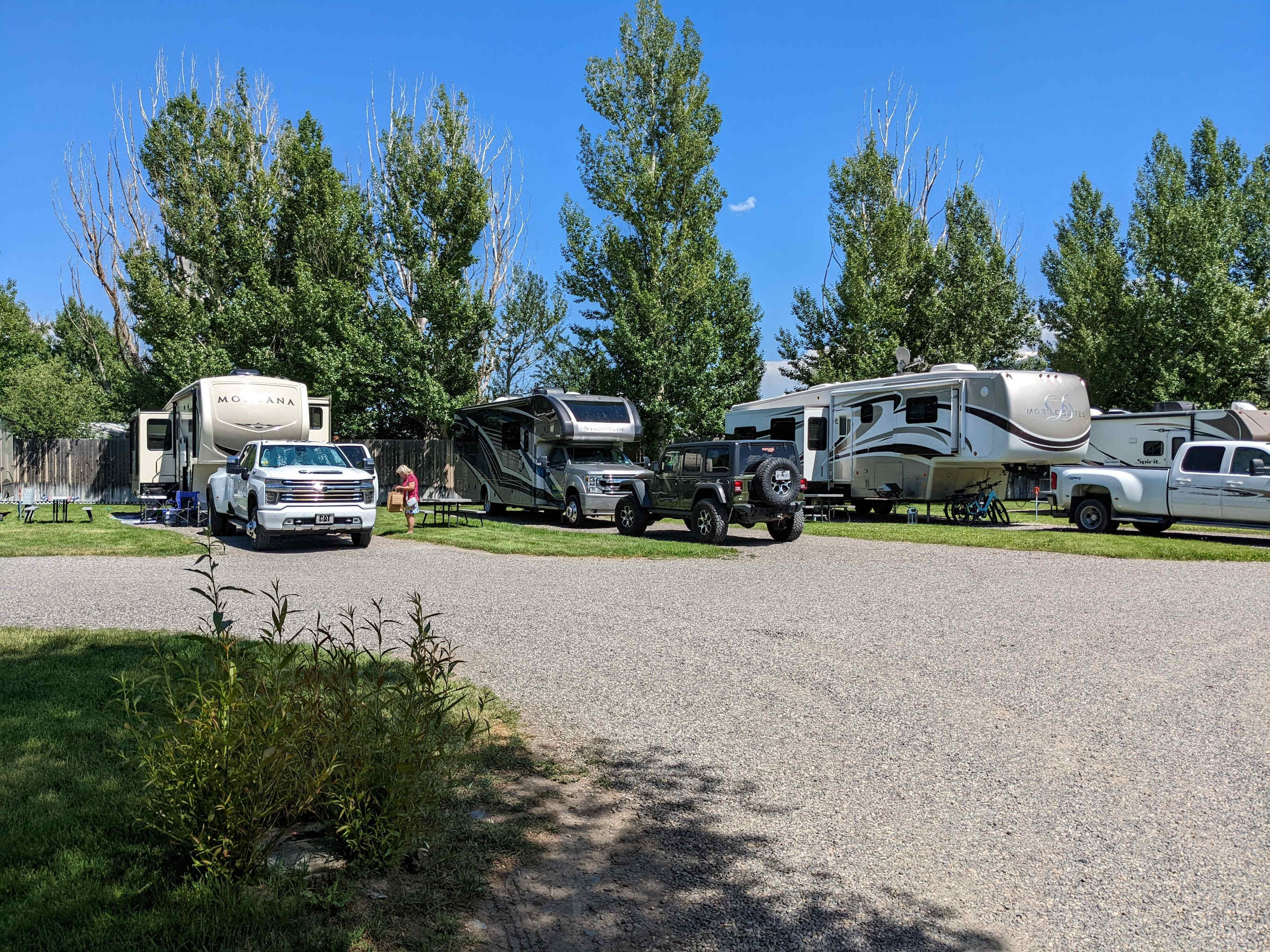 Picture of the site