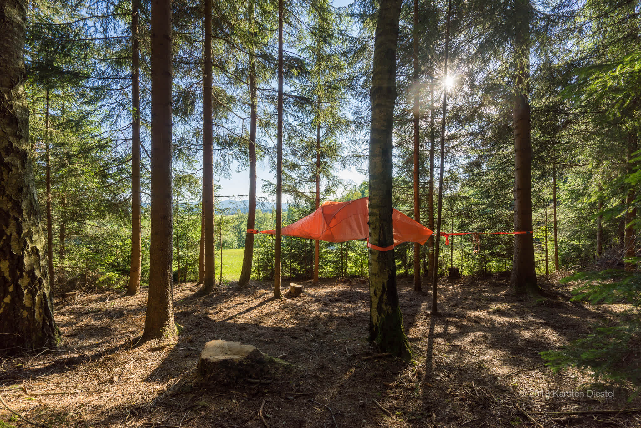 Zelt Am Waldesrand