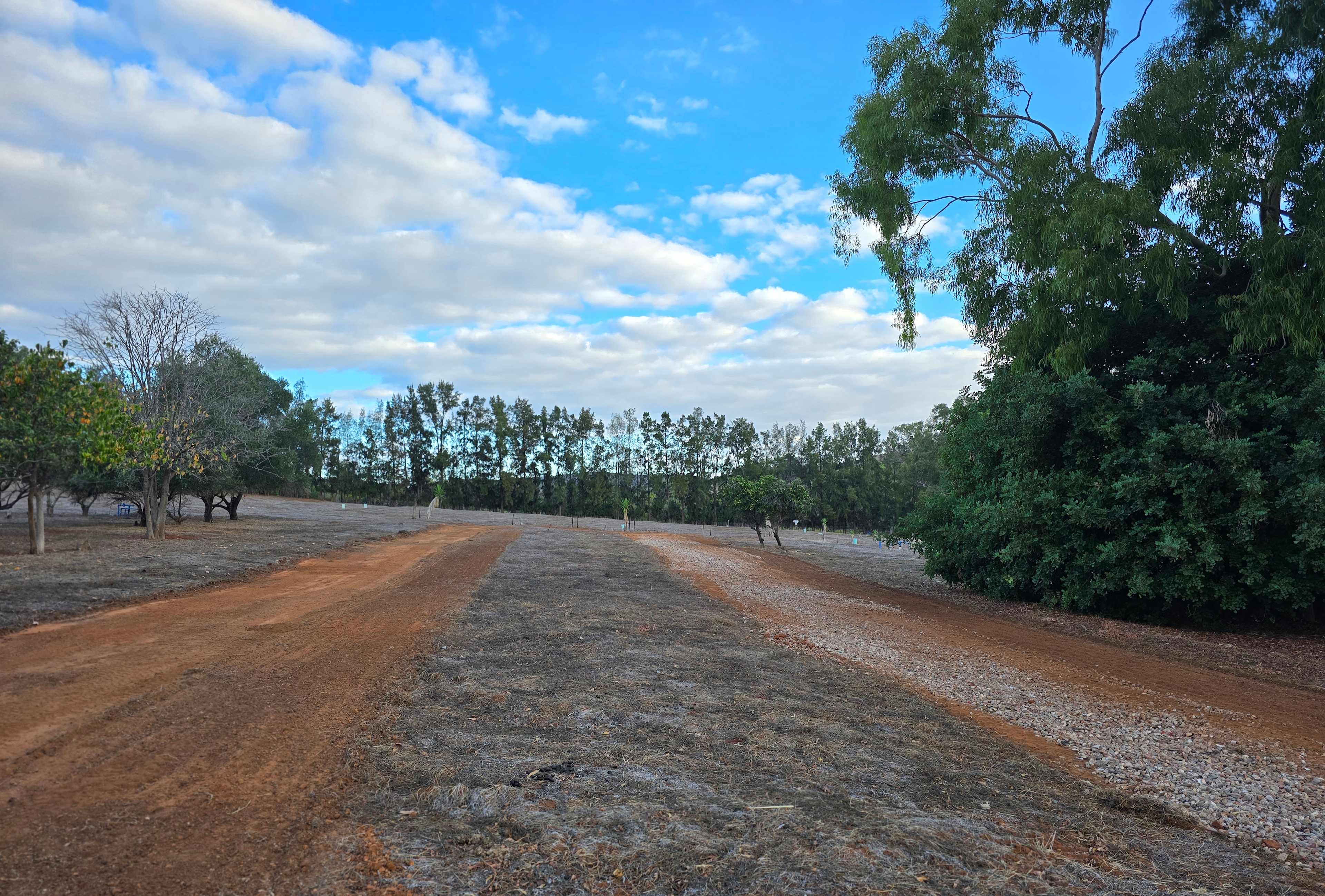 Citrus Park – A peaceful escape