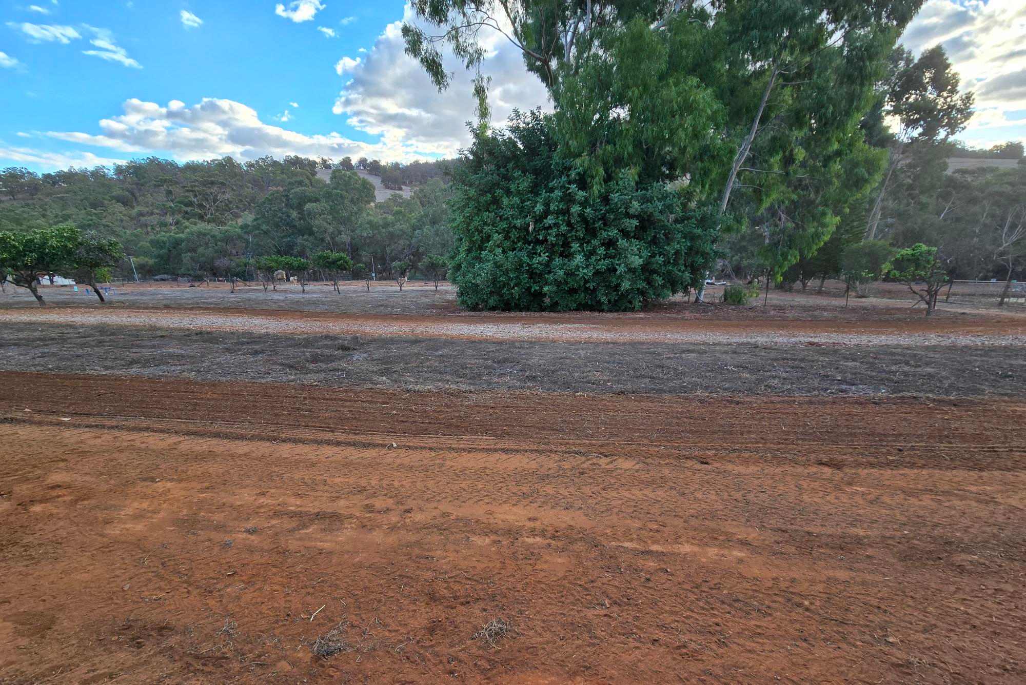 Citrus Park – A peaceful escape