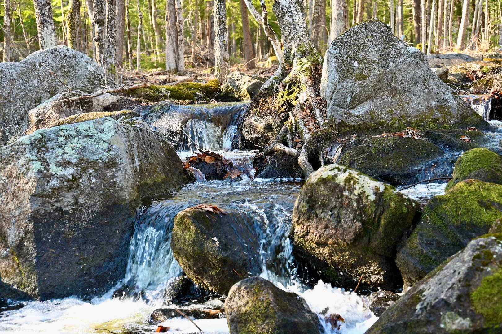 It is hard to capture the whole cascade in one picture, there is so much to look at, It is constantly changing and always awe inspiring.