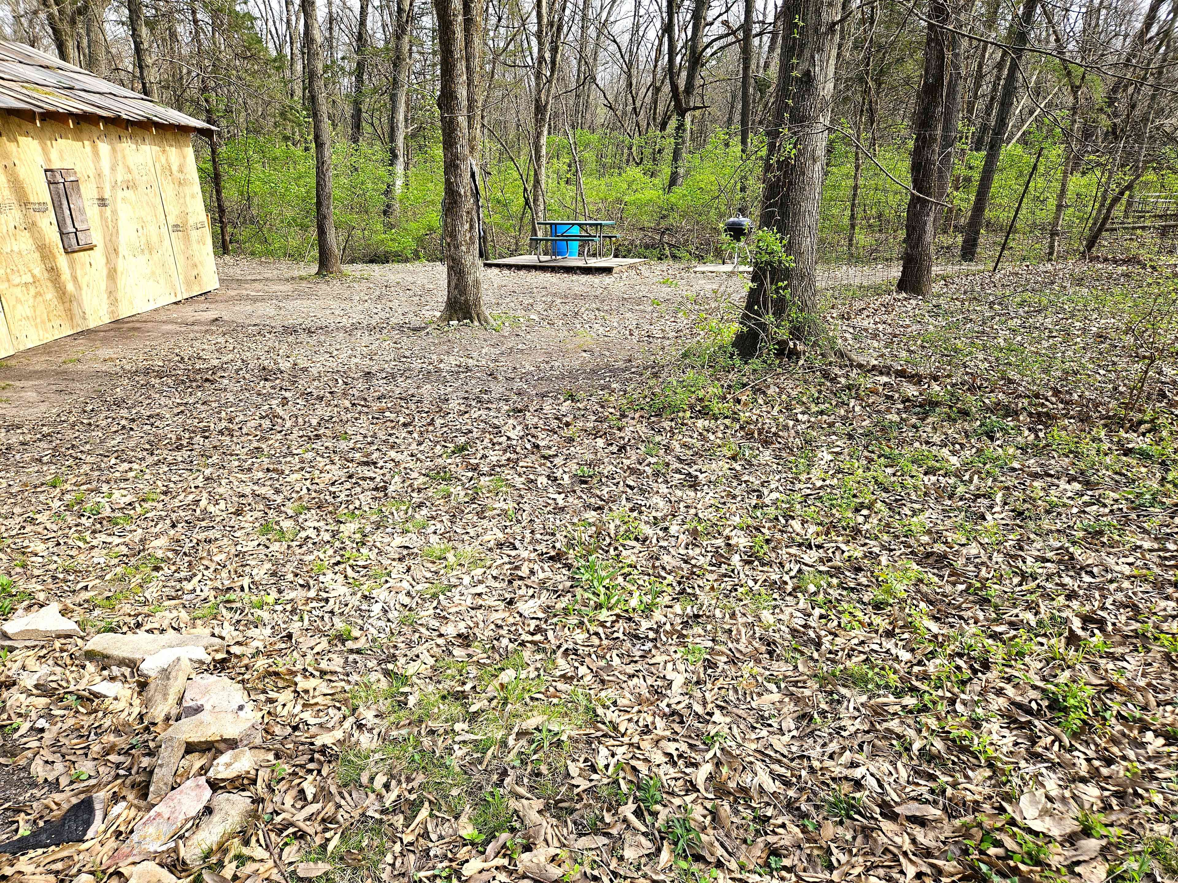 Picture of the site