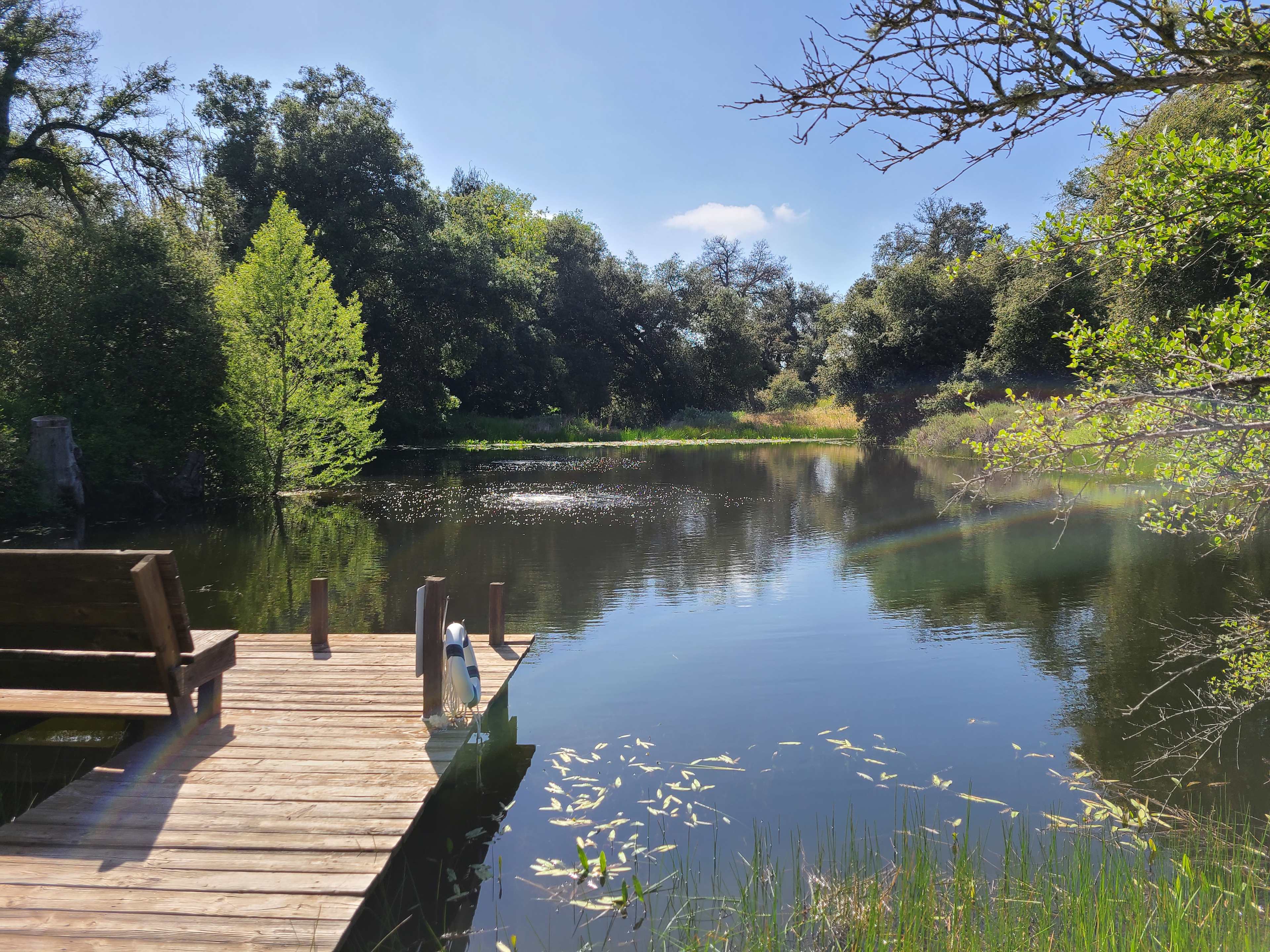 Seasonal pond (This picture is when it is full).   It is not always full, and sometimes there is no water. 