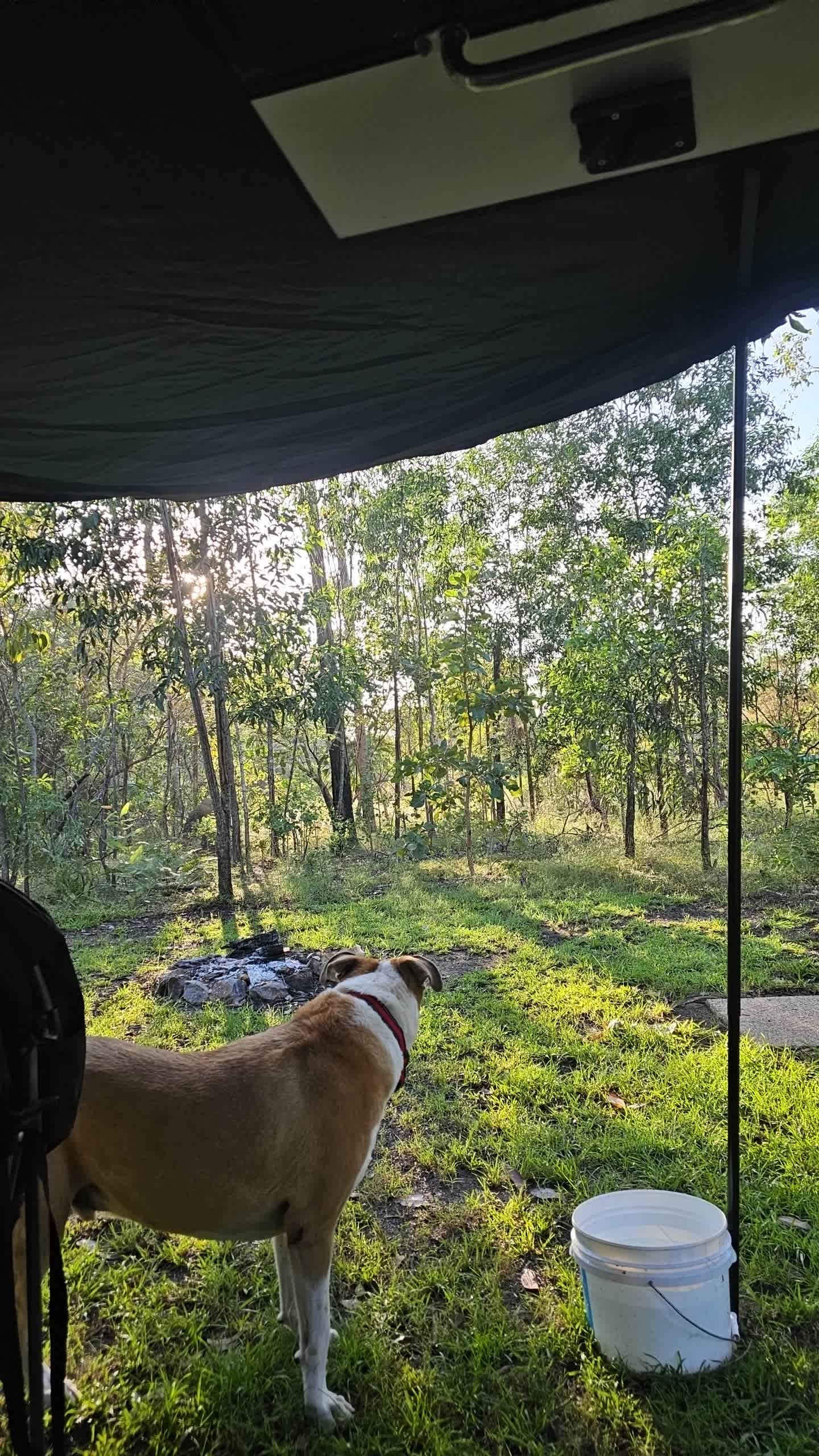 Camp 2 