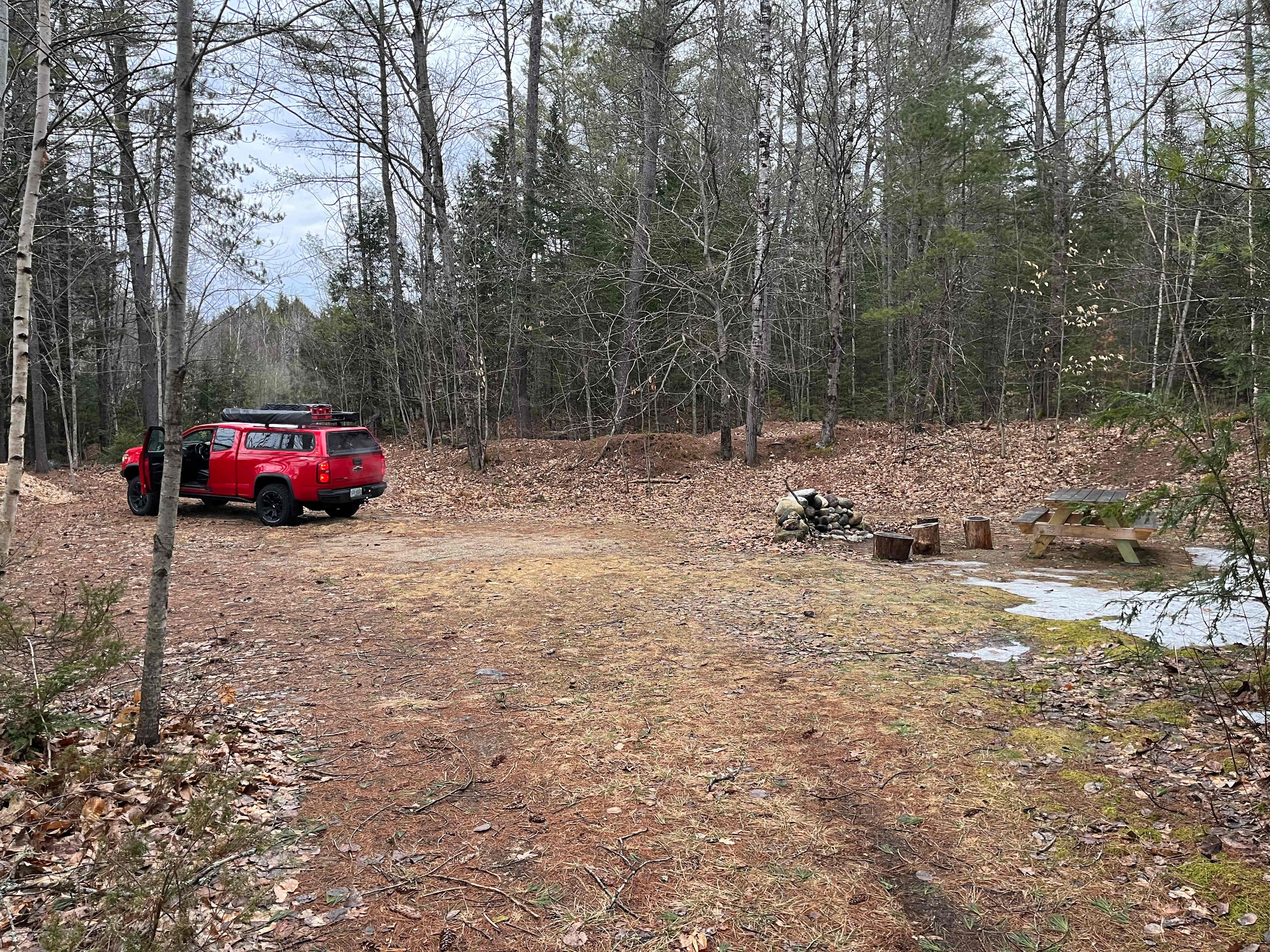 Picture of the site