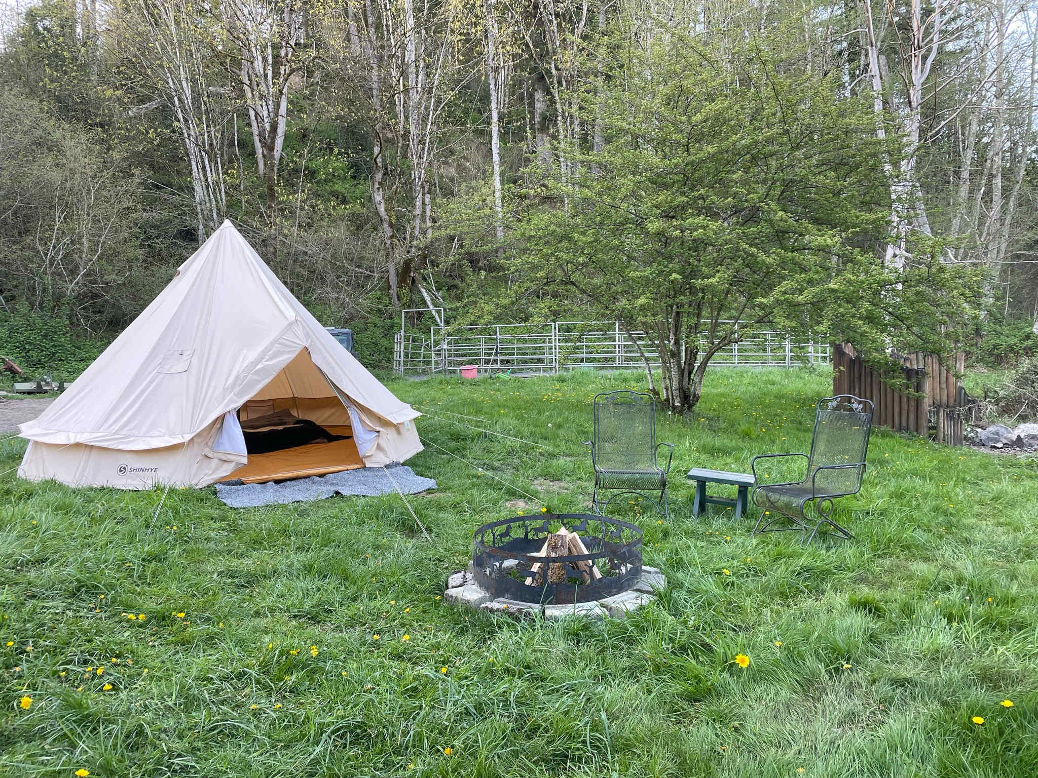 Tent camping, fire pit, 2min walk to the toilet with sink (warm water);
