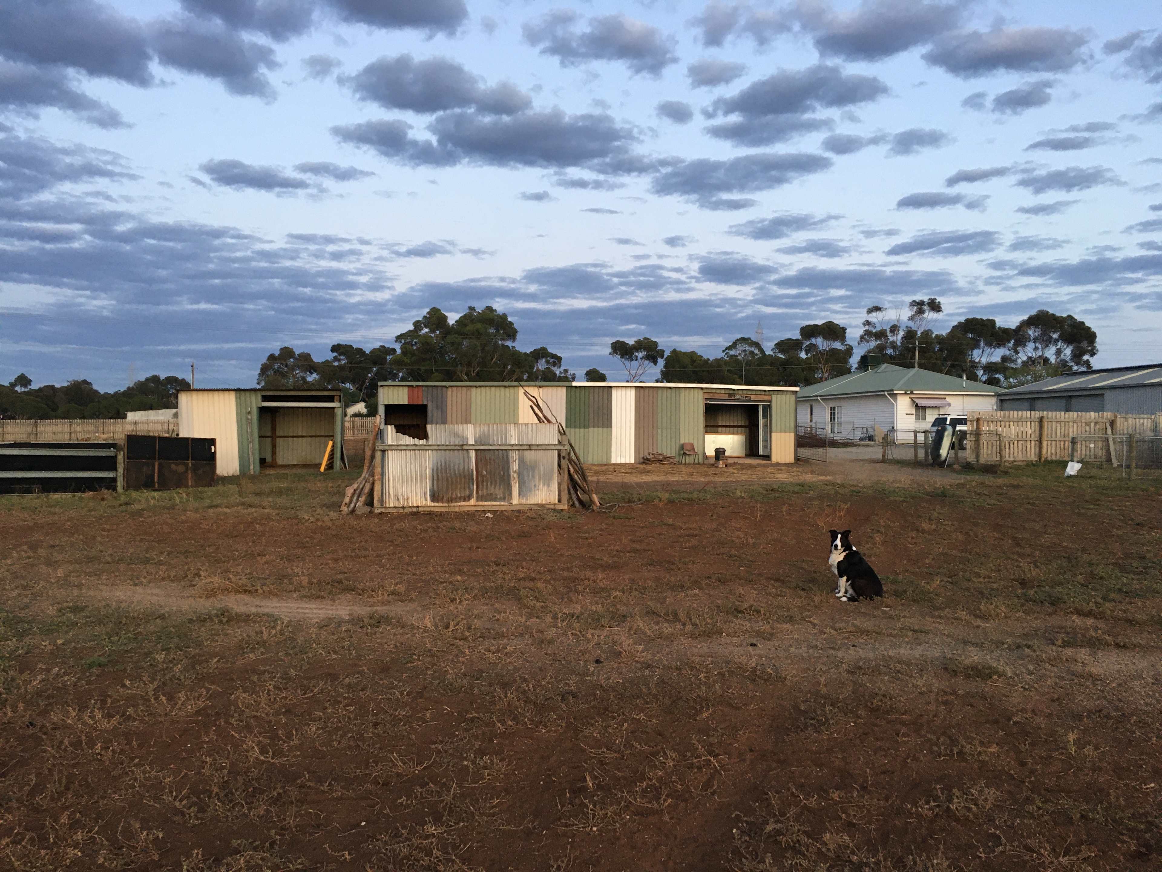Lara Hobby Horse Centre