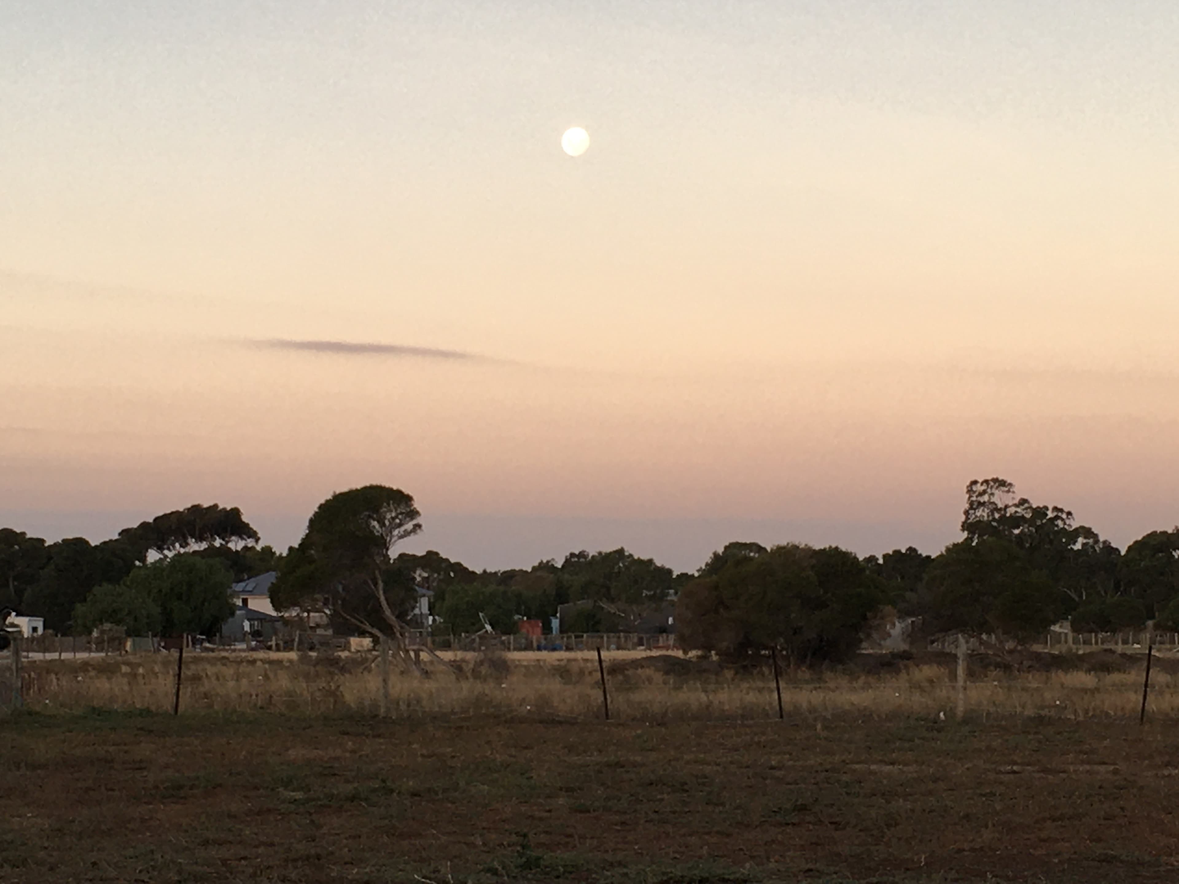 Lara Hobby Horse Centre