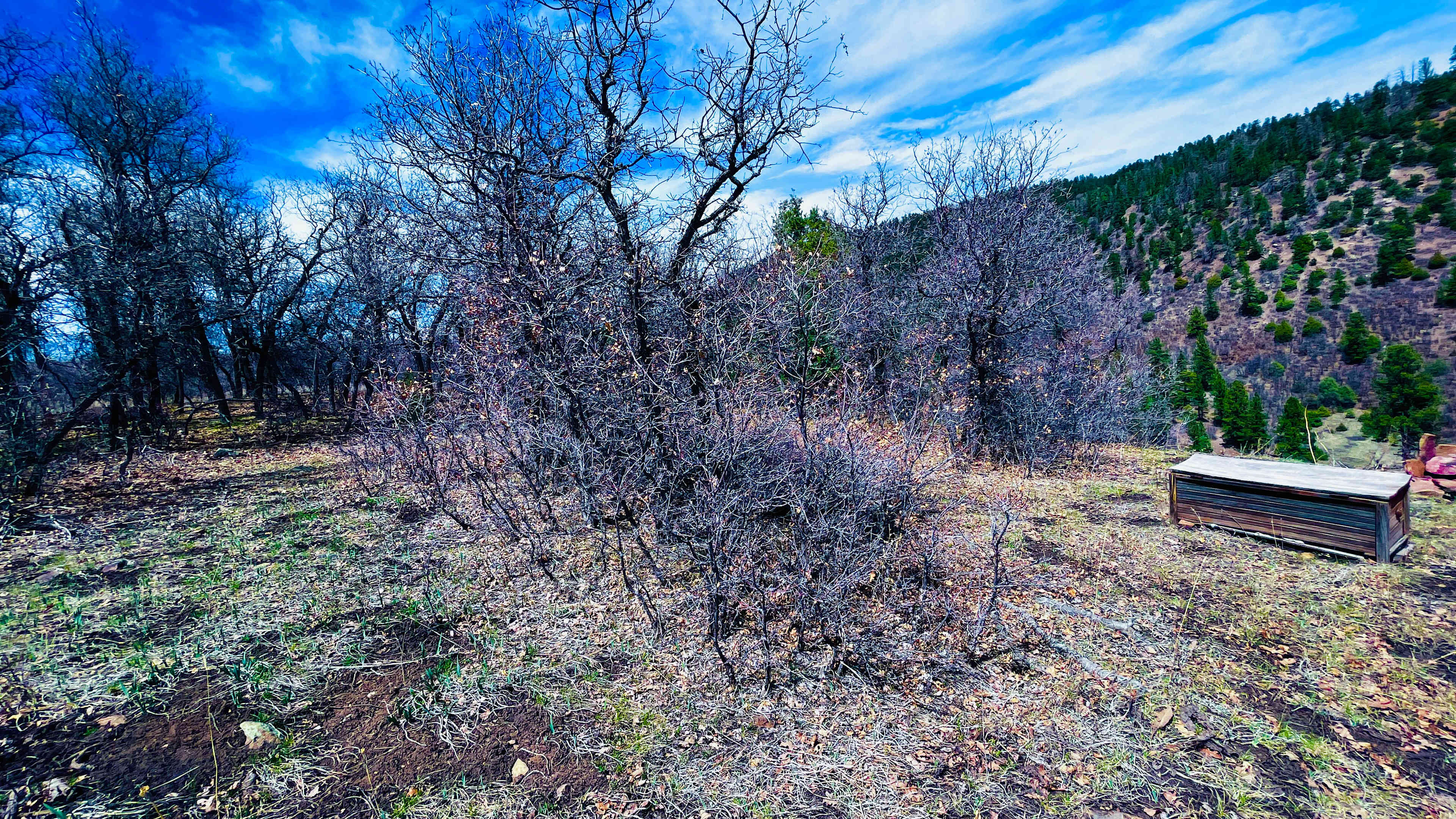 Hartwork Ranch