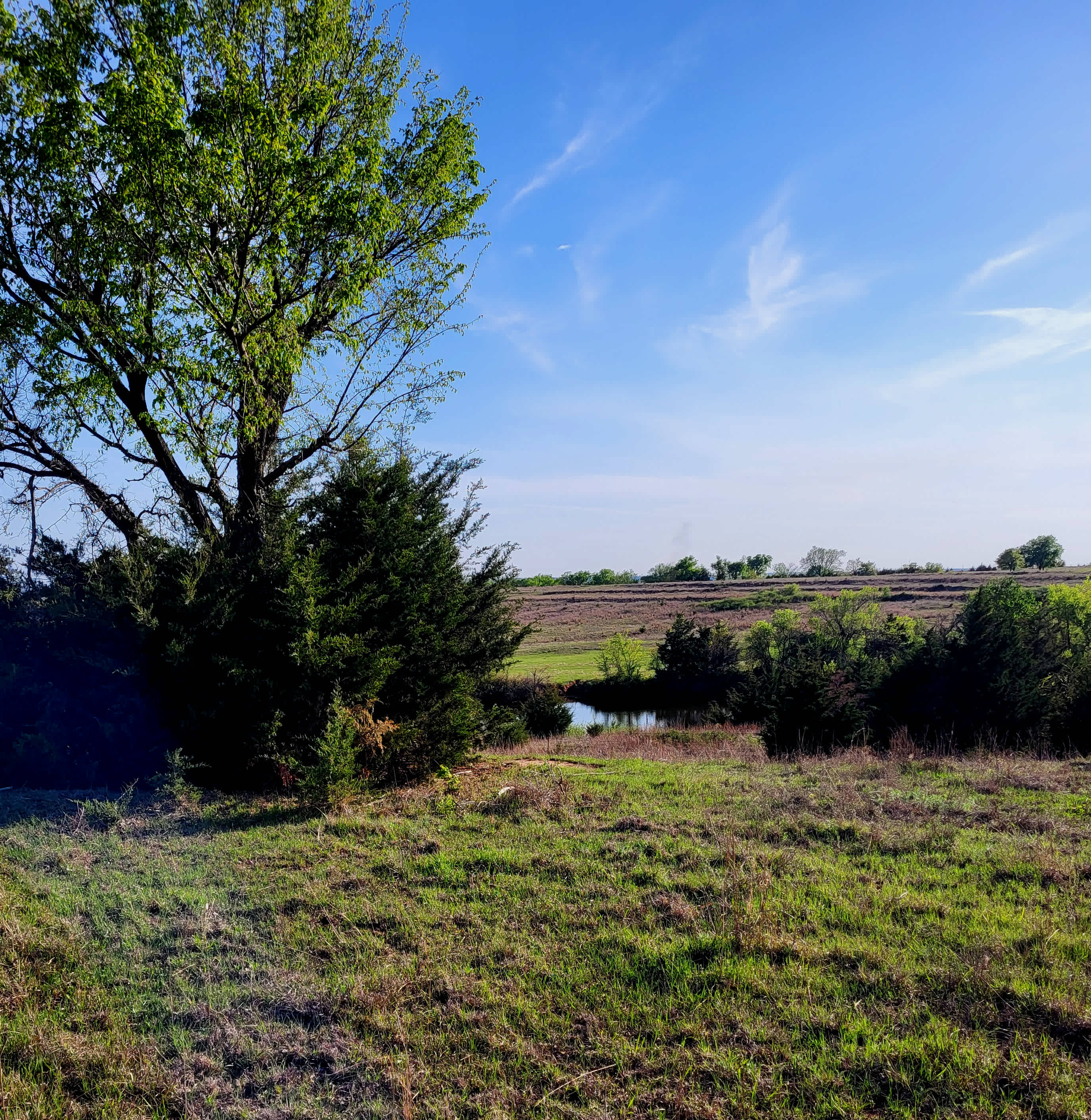 Blissful Boondocking