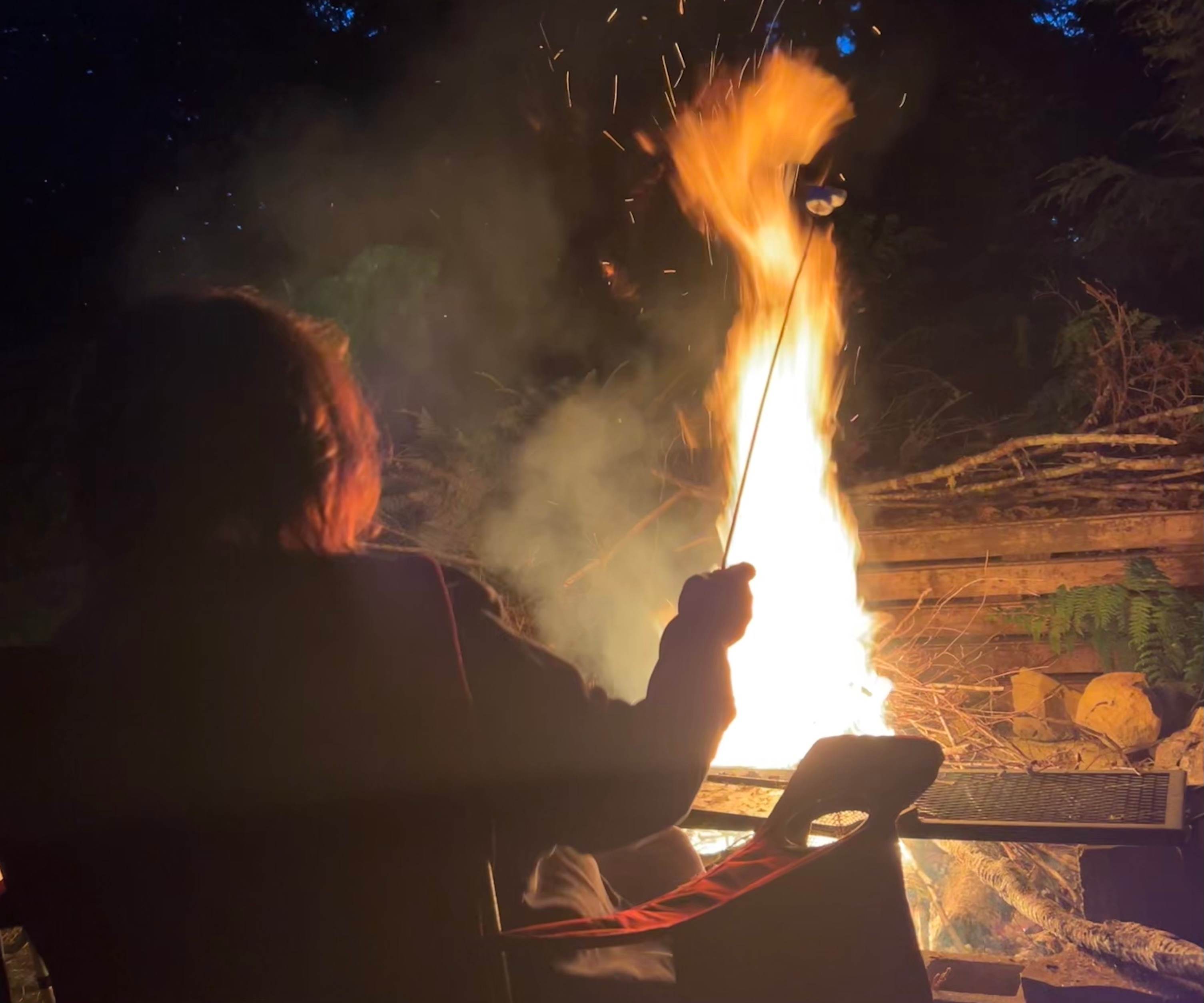 Cedar Magic - Hipcamp in Lakebay, Washington
