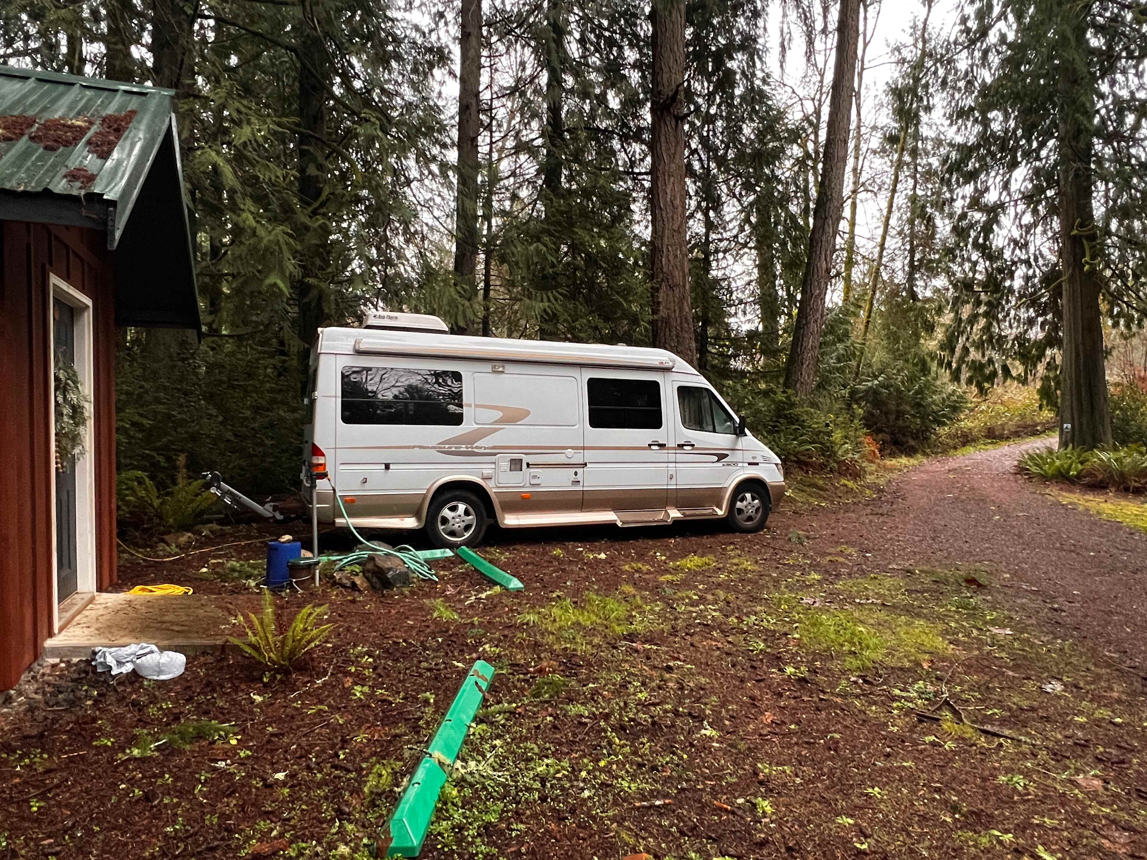 Magic Lantern- forested tiny home