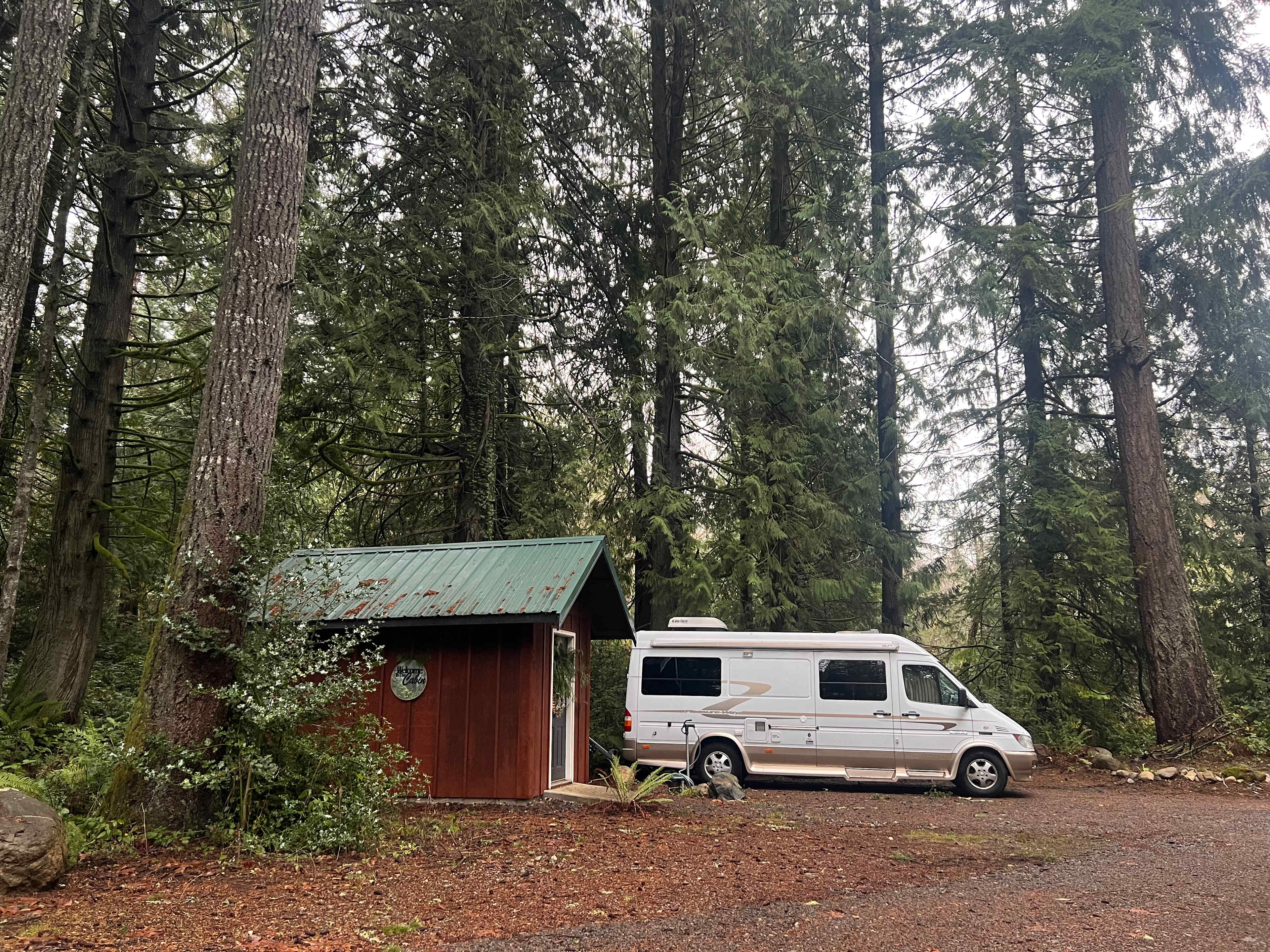 Cedar Magic - Hipcamp in Lakebay, Washington