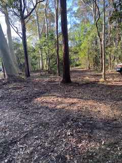 Birriga Bushland Camp