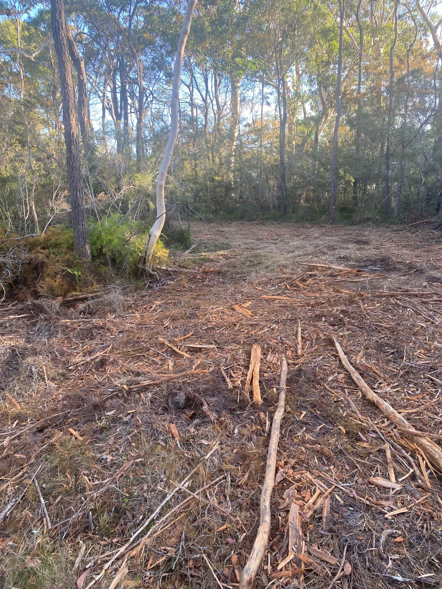 Birriga Bushland Camp