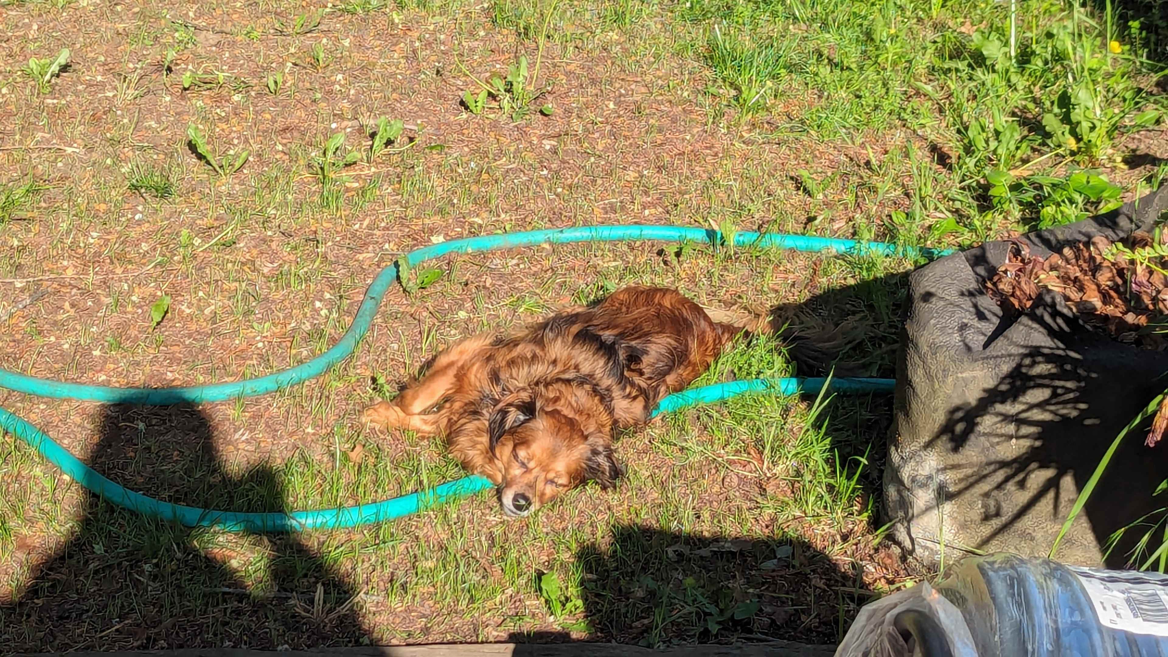 Our Prince, Firelord Zuko AKA Babushka, zucchini, foxy boy, bubby