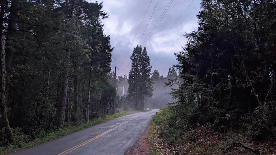 View of the street going north from our driveway