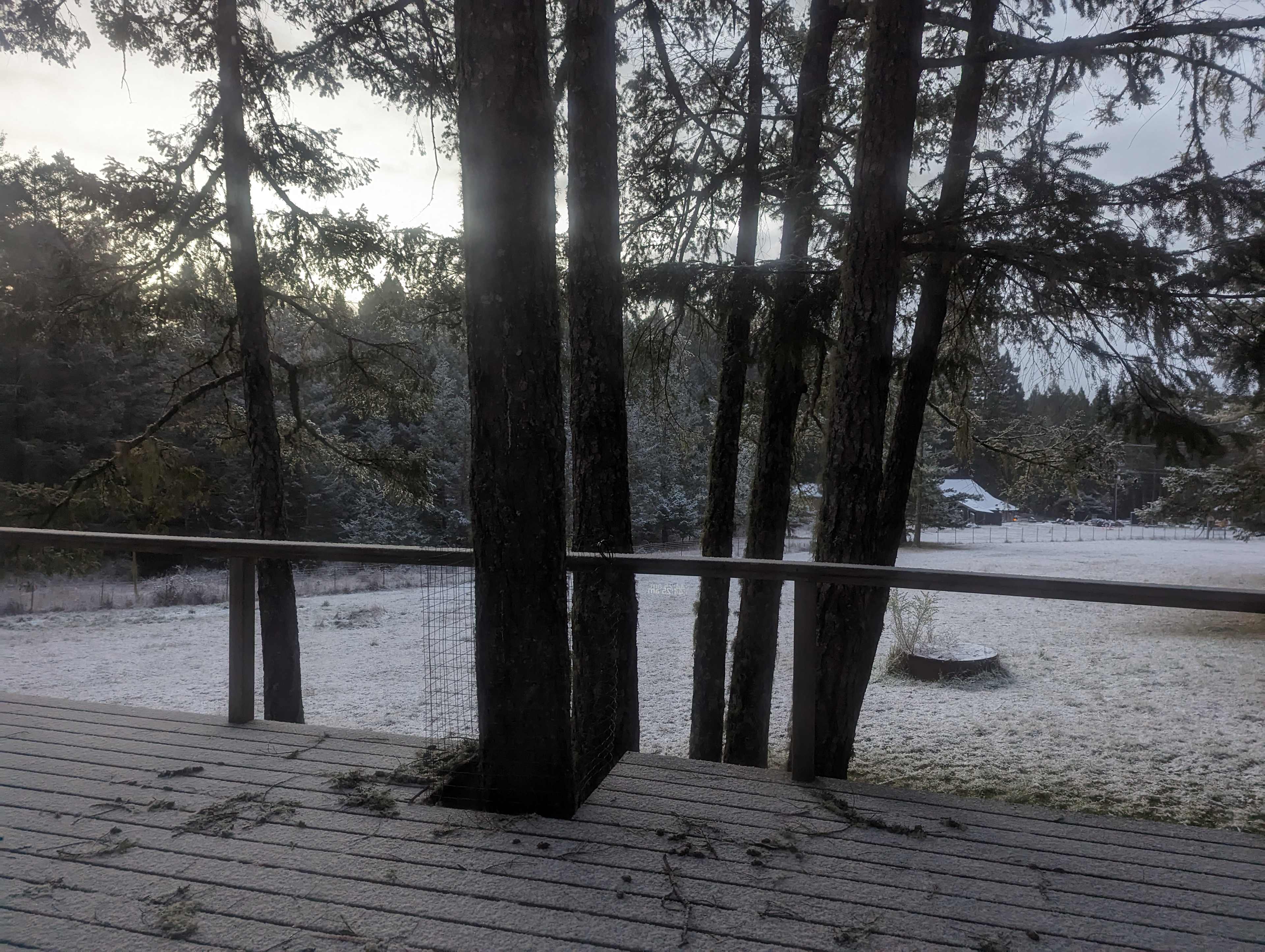 That one time in the past five years that we got snow