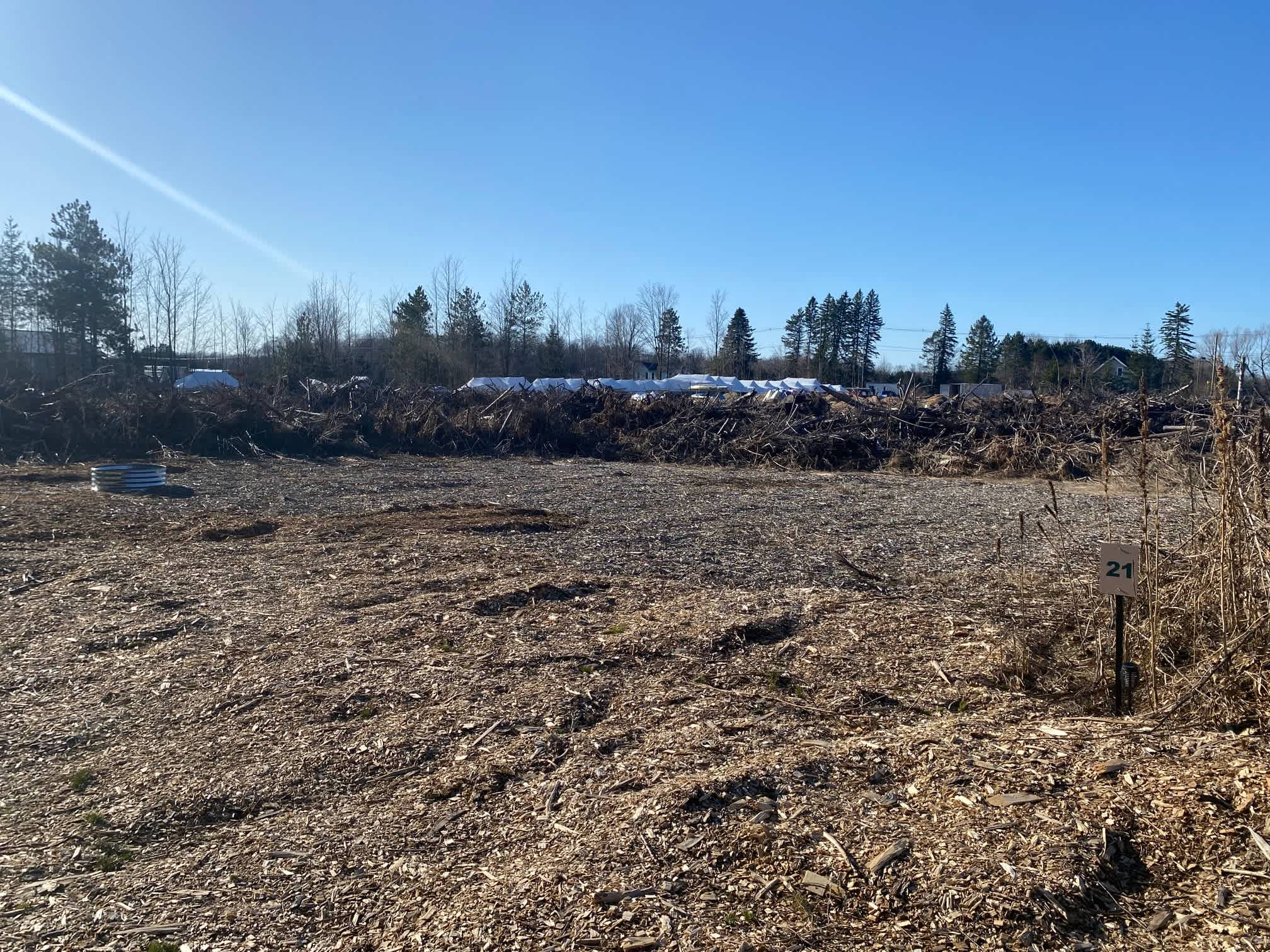 Picture of the site