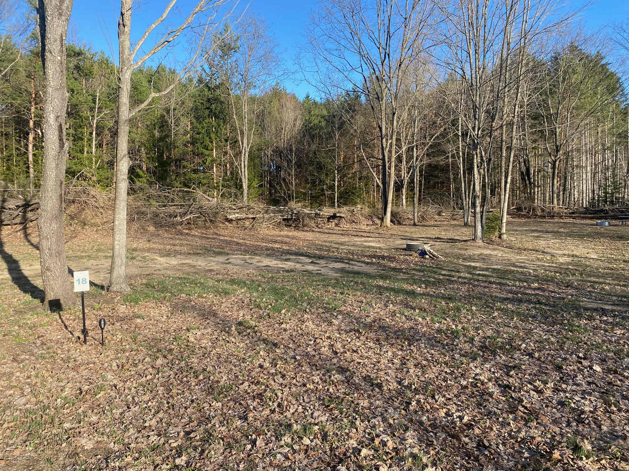 Picture of the site