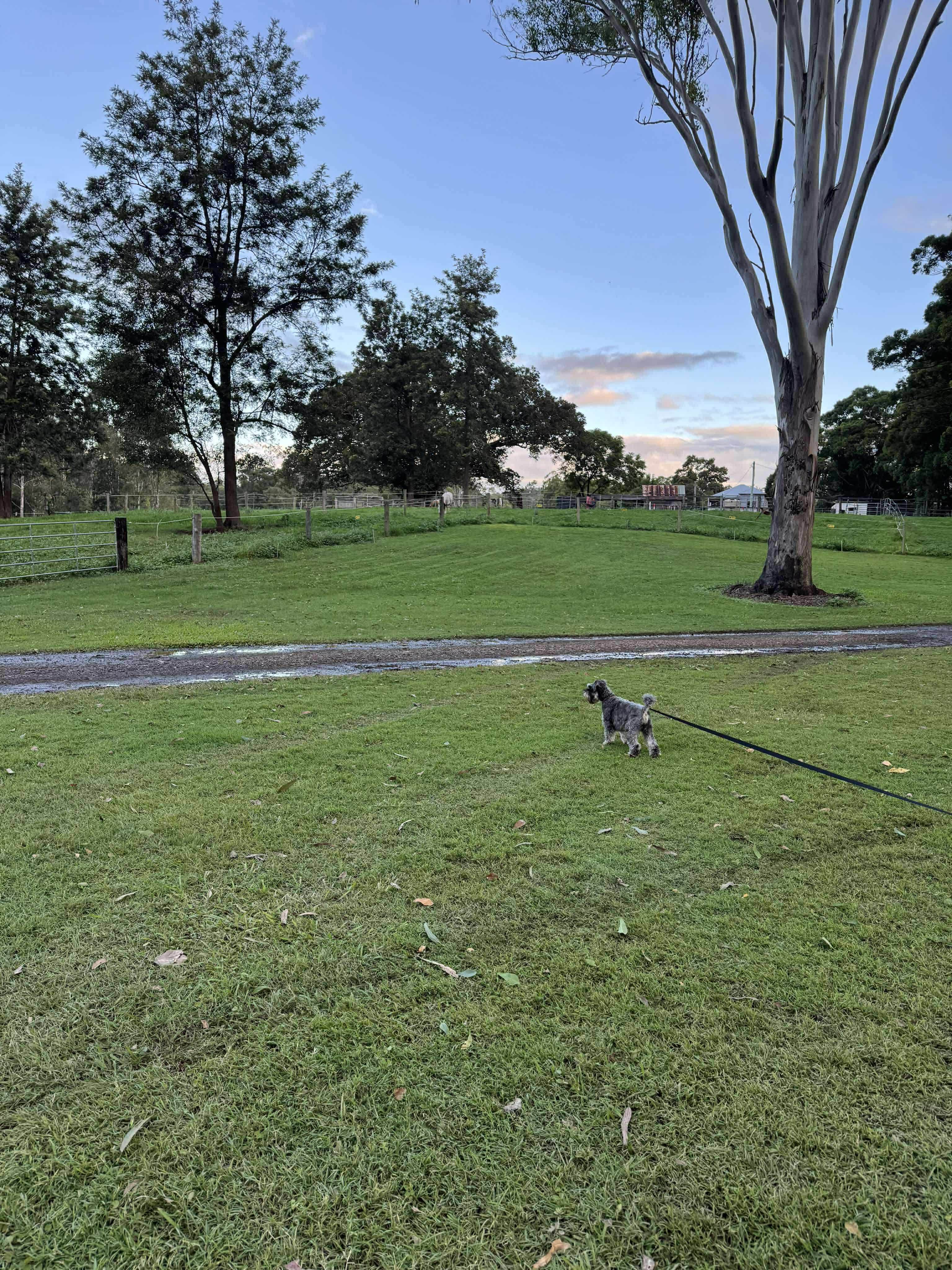 Yabba Creek Farm